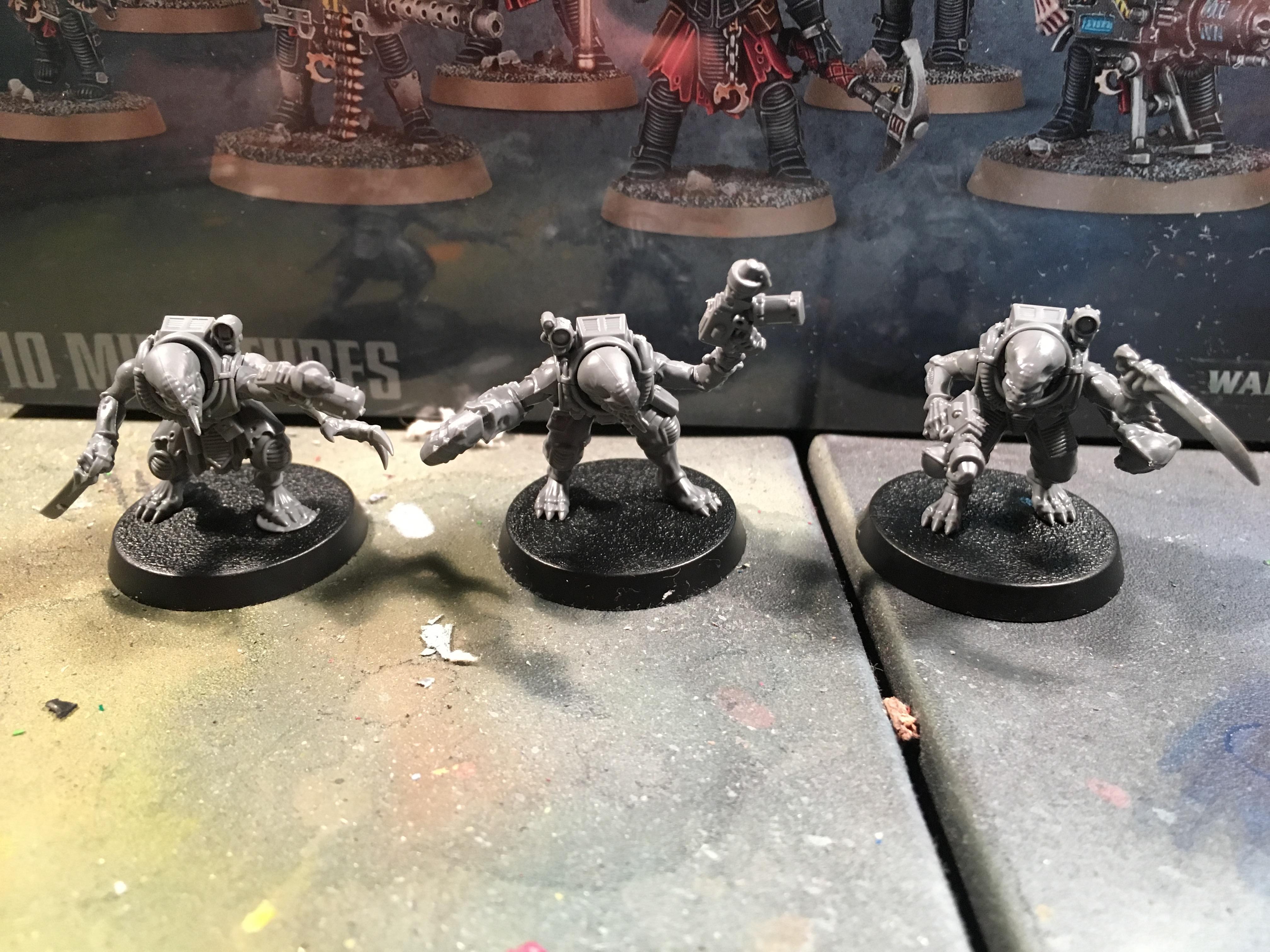 Metamorphs 