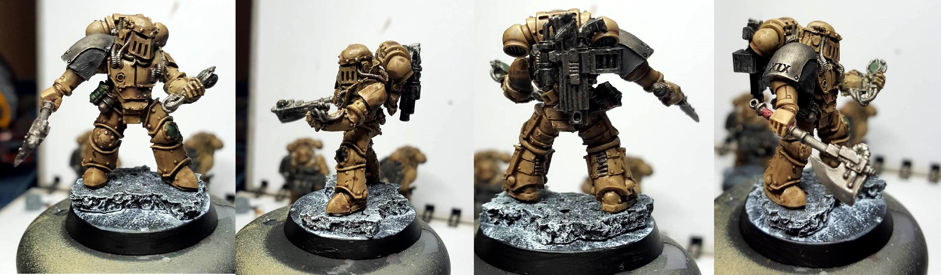 Marine Holotin