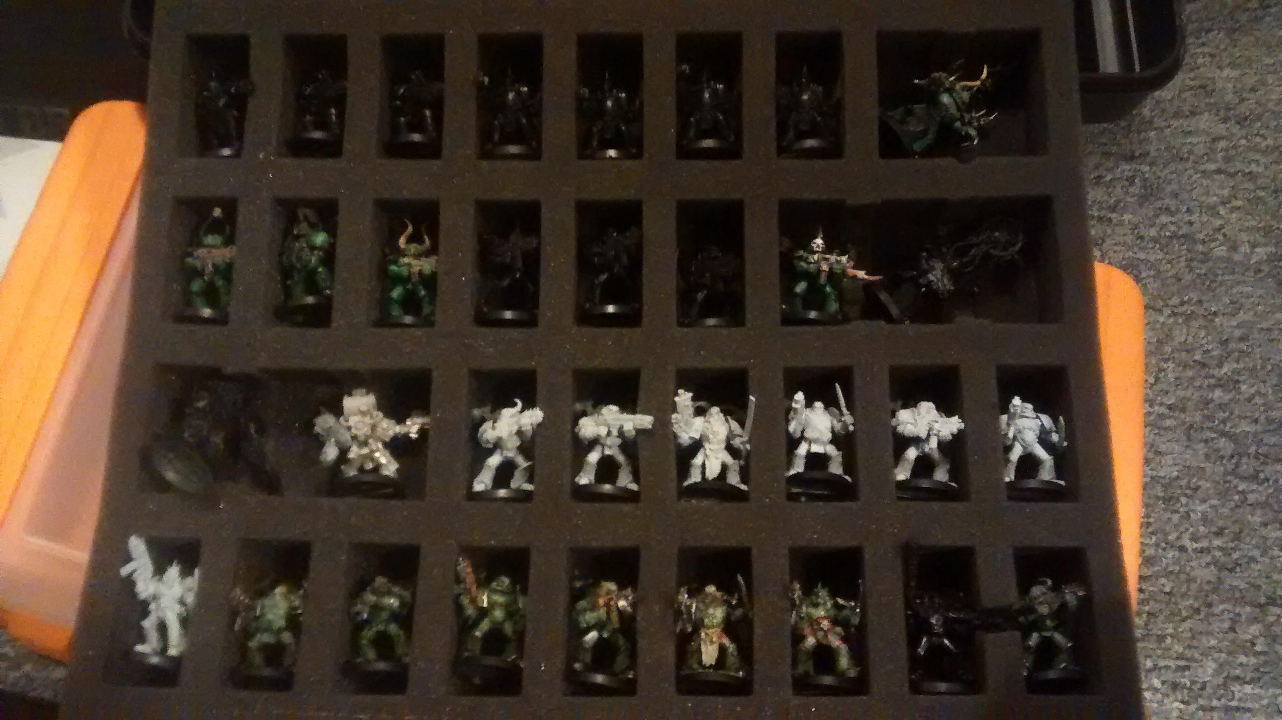 Tray of mostly Plague Marines + squad of CSMs 