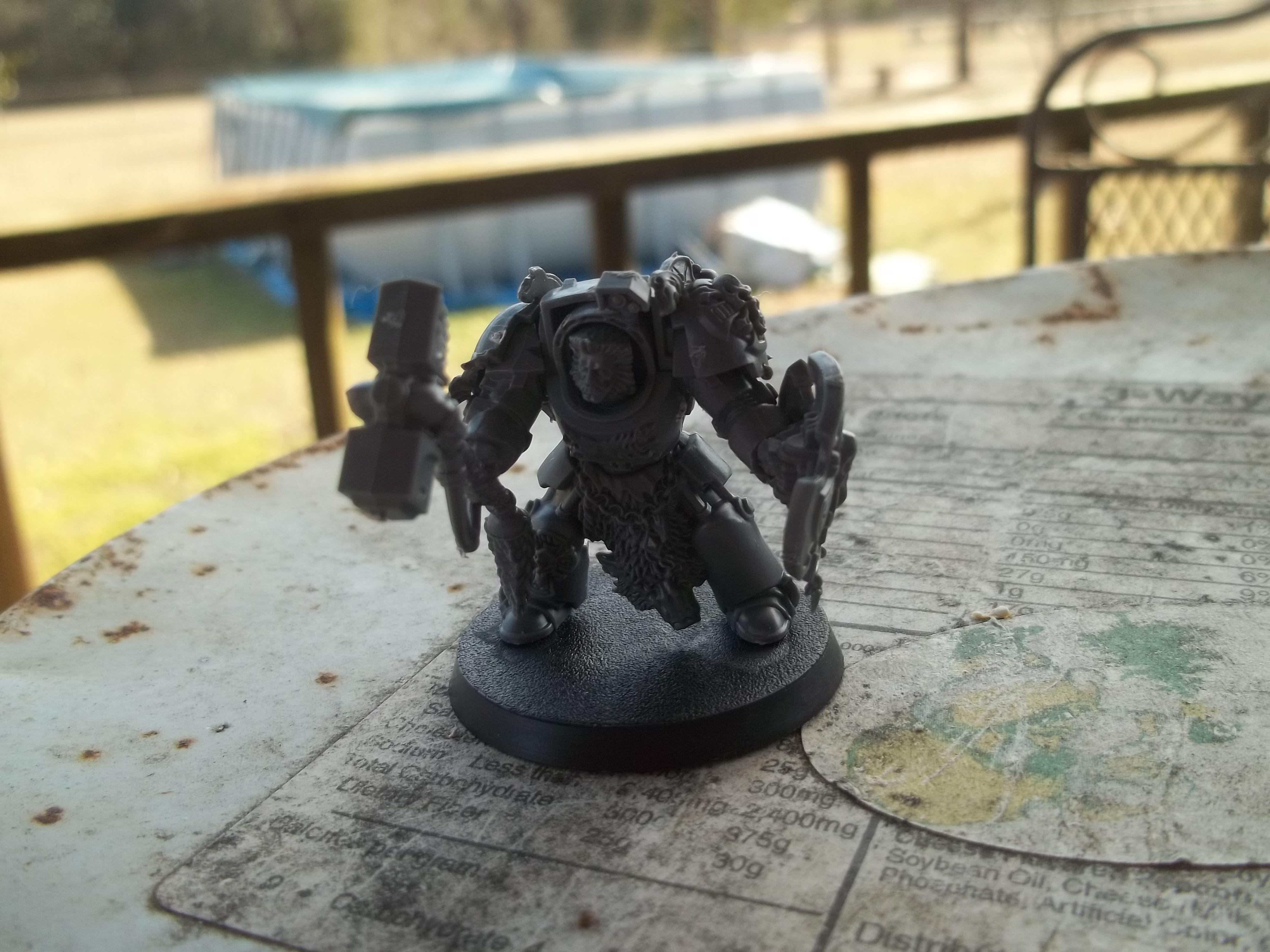 Lone Wolf Terminator