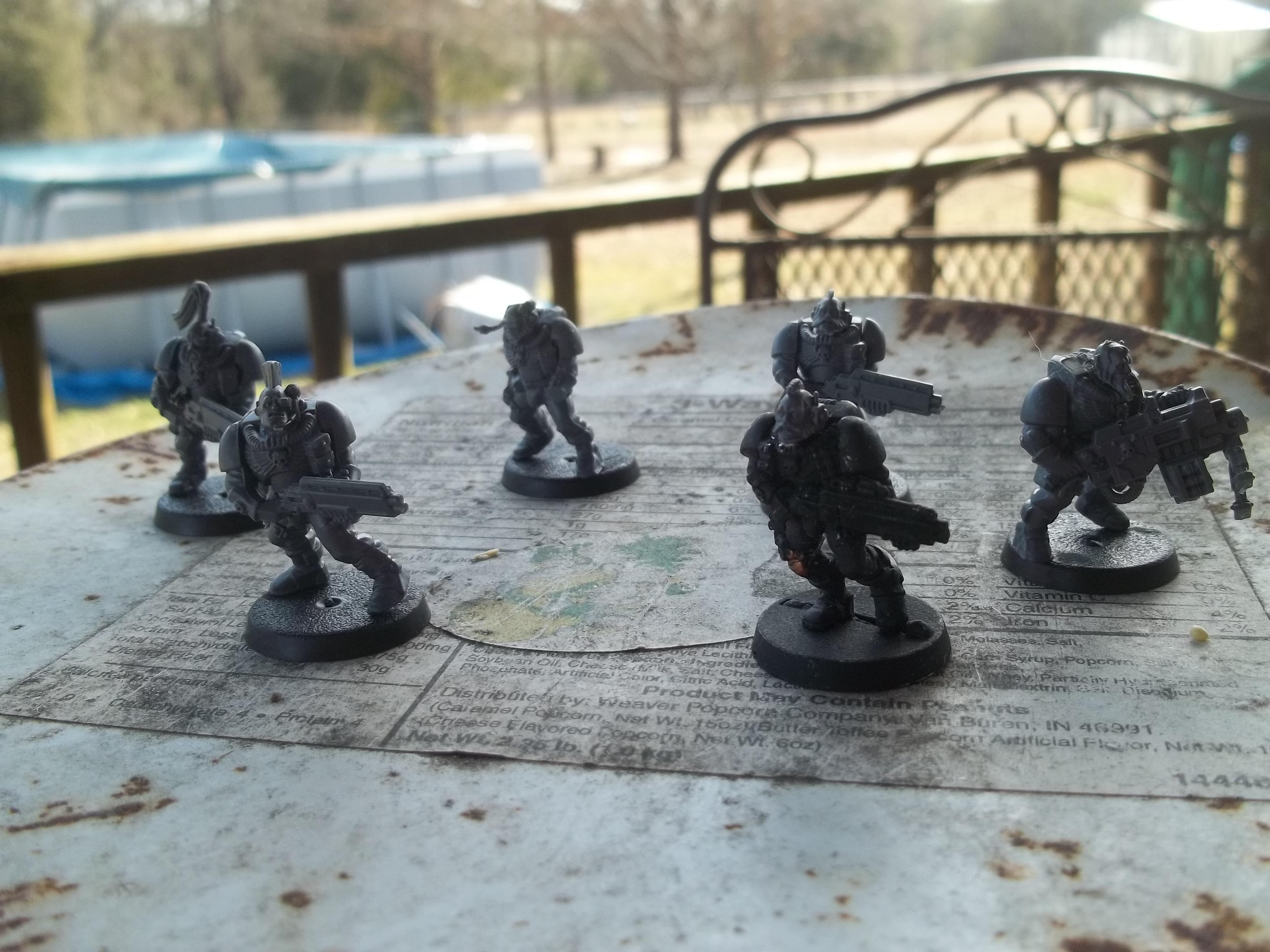 Wolf Scouts Shotgun