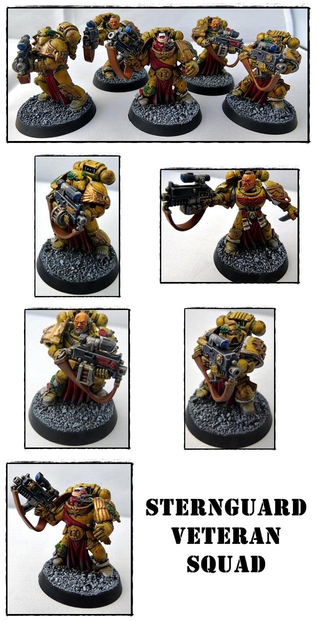 Imperial Fists, Rubble, Ruins, Space Marines, Sternguard, Veteran, Weathered, Yellow