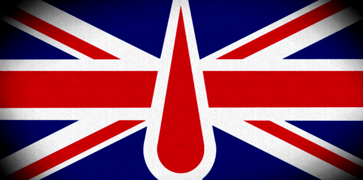 Anglo Angels chapter symbol on flag