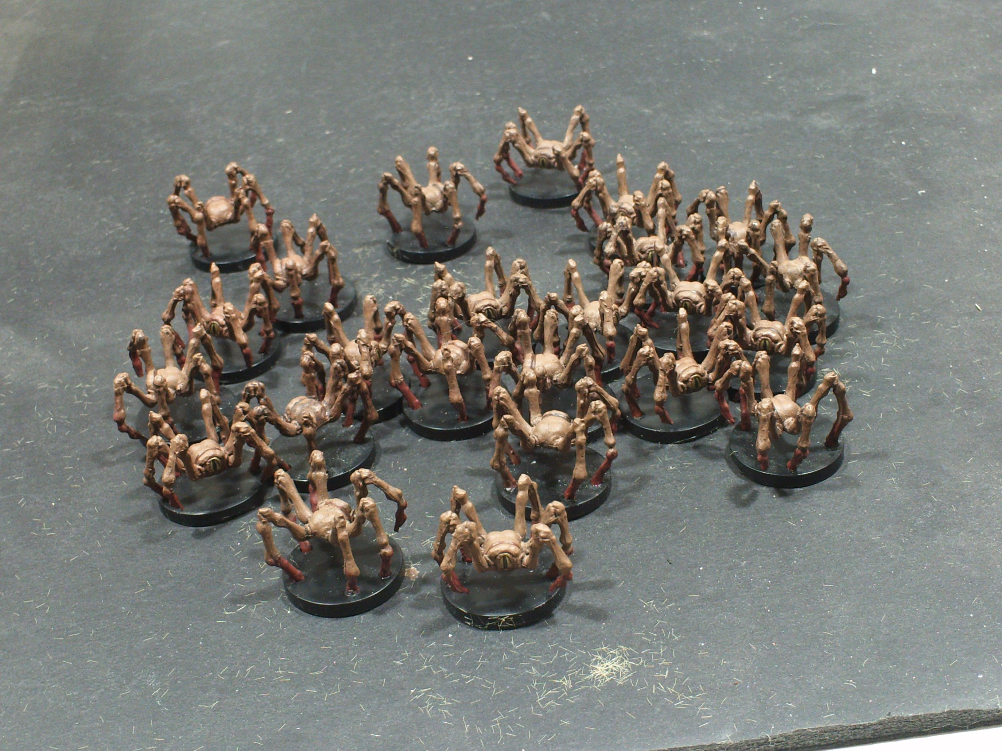 Shadows Of Brimstone