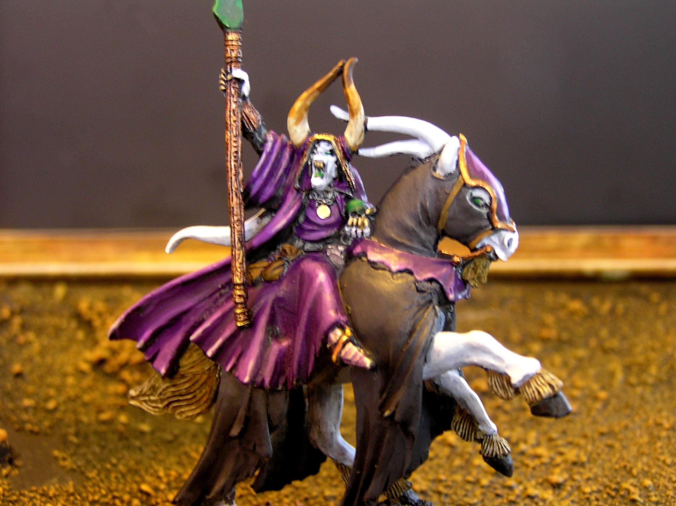 Sorcerer on Mount