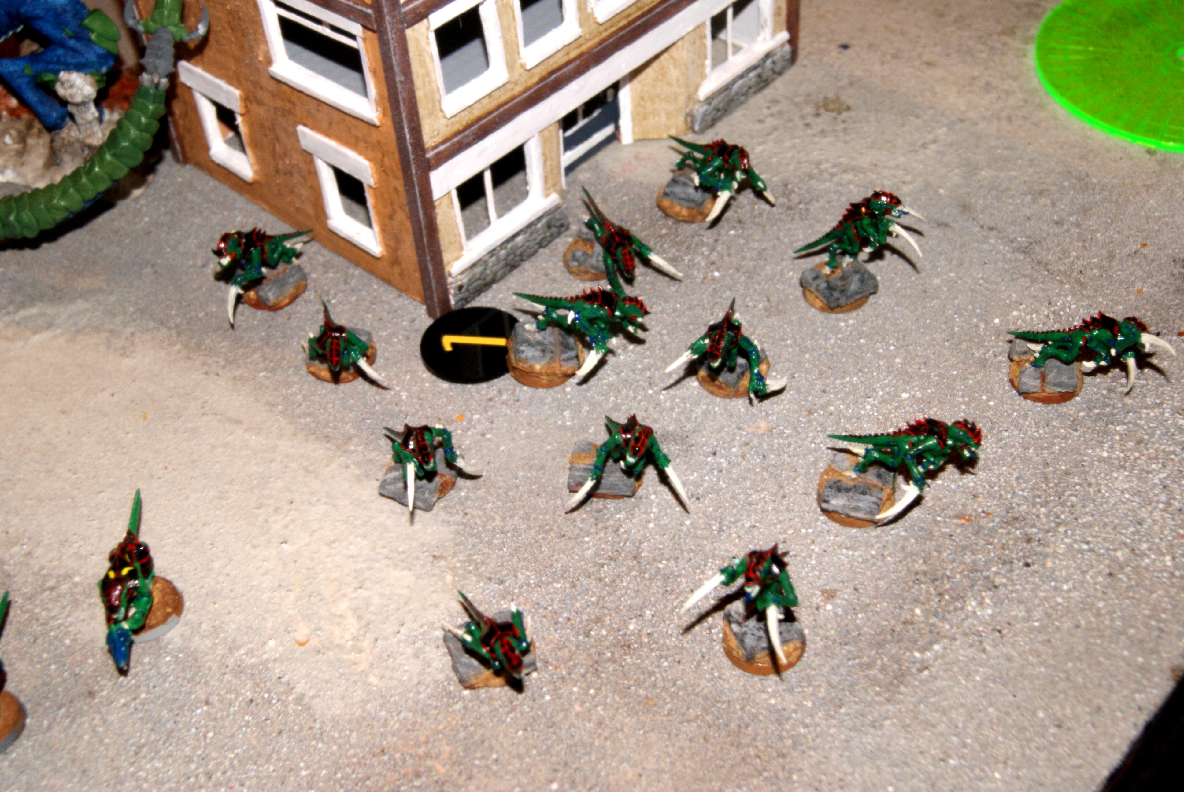 endless swarm version of obsec