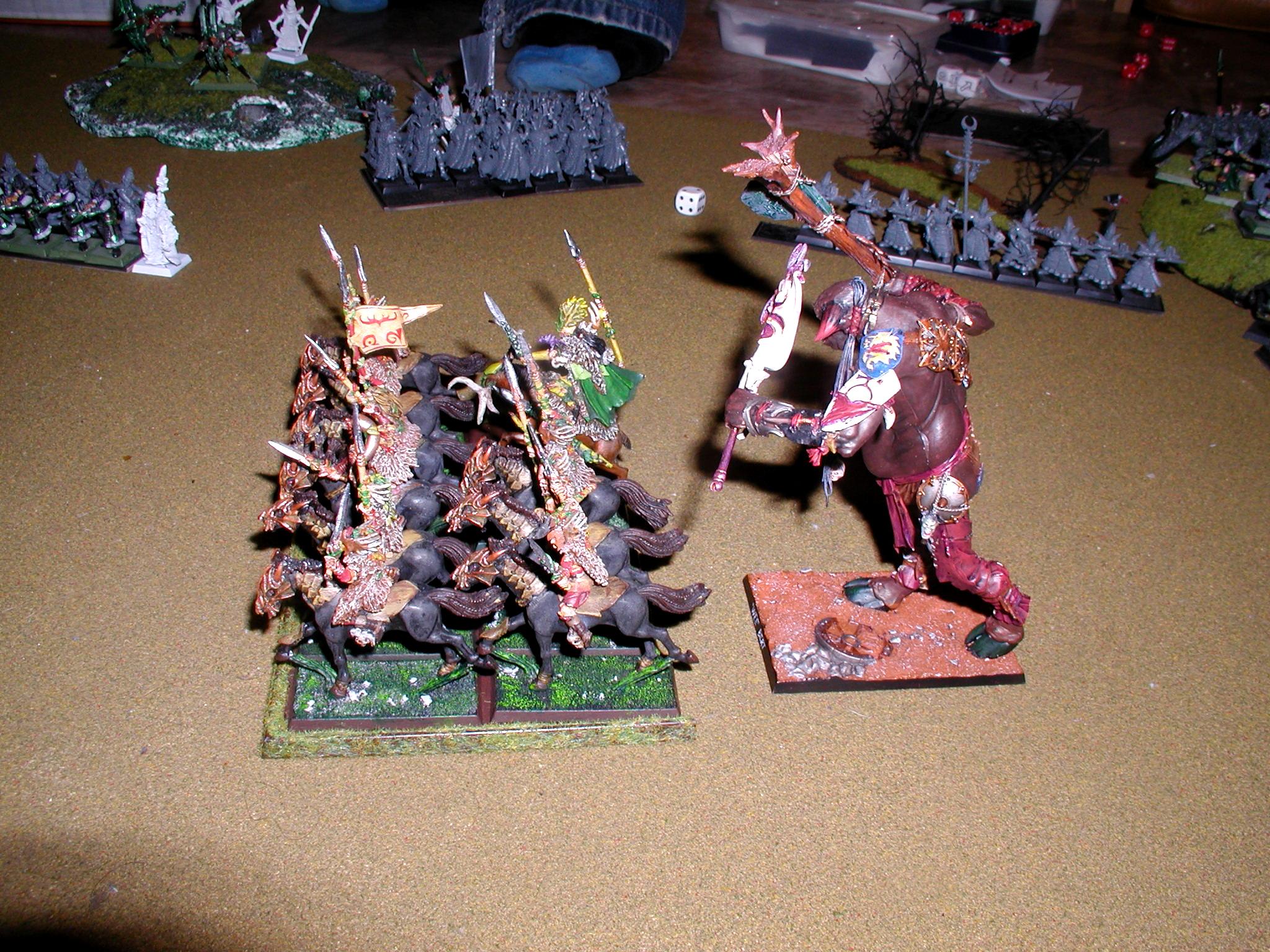 Forest, Warhammer Fantasy, Wfb, Wood Elves