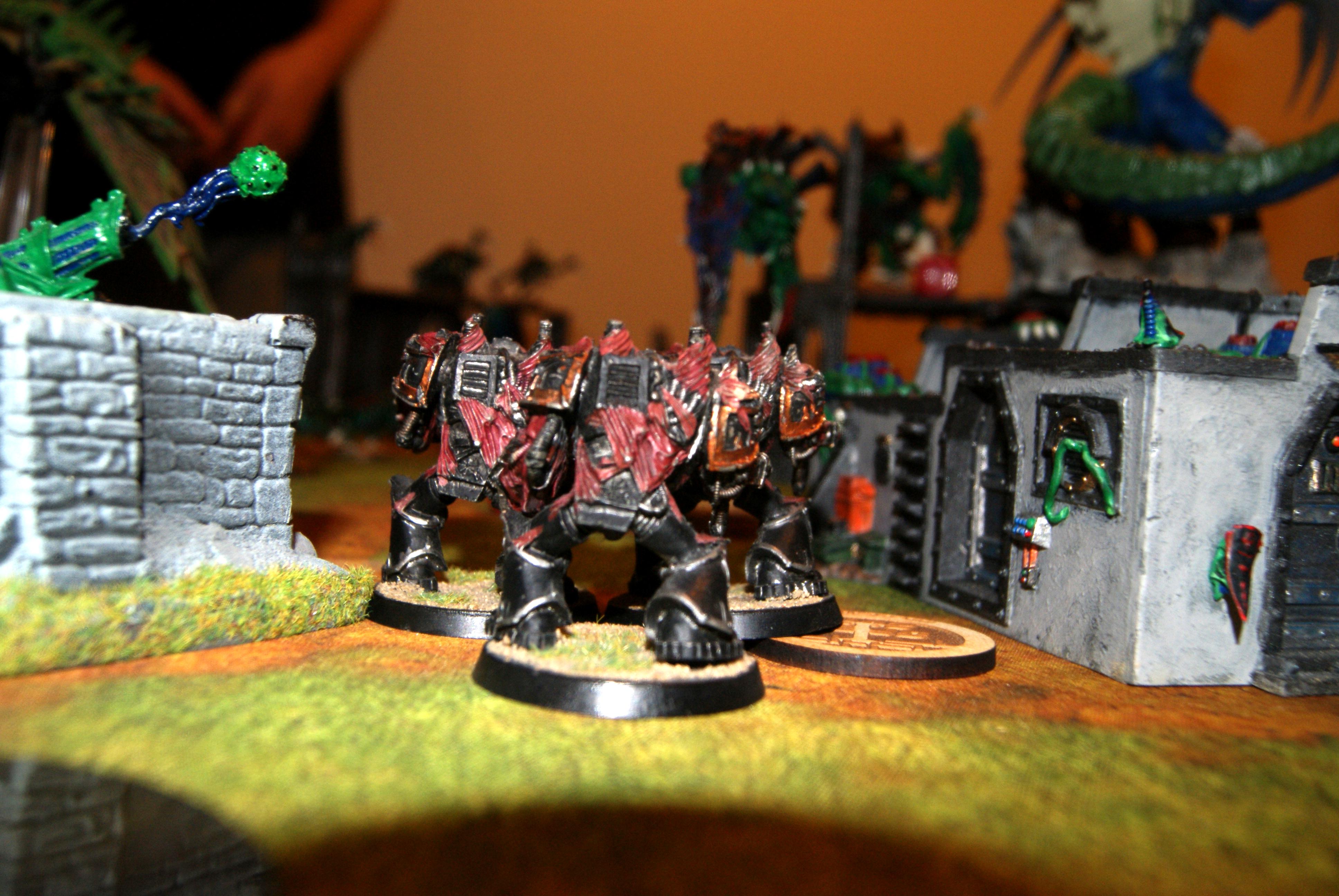 Oblits land