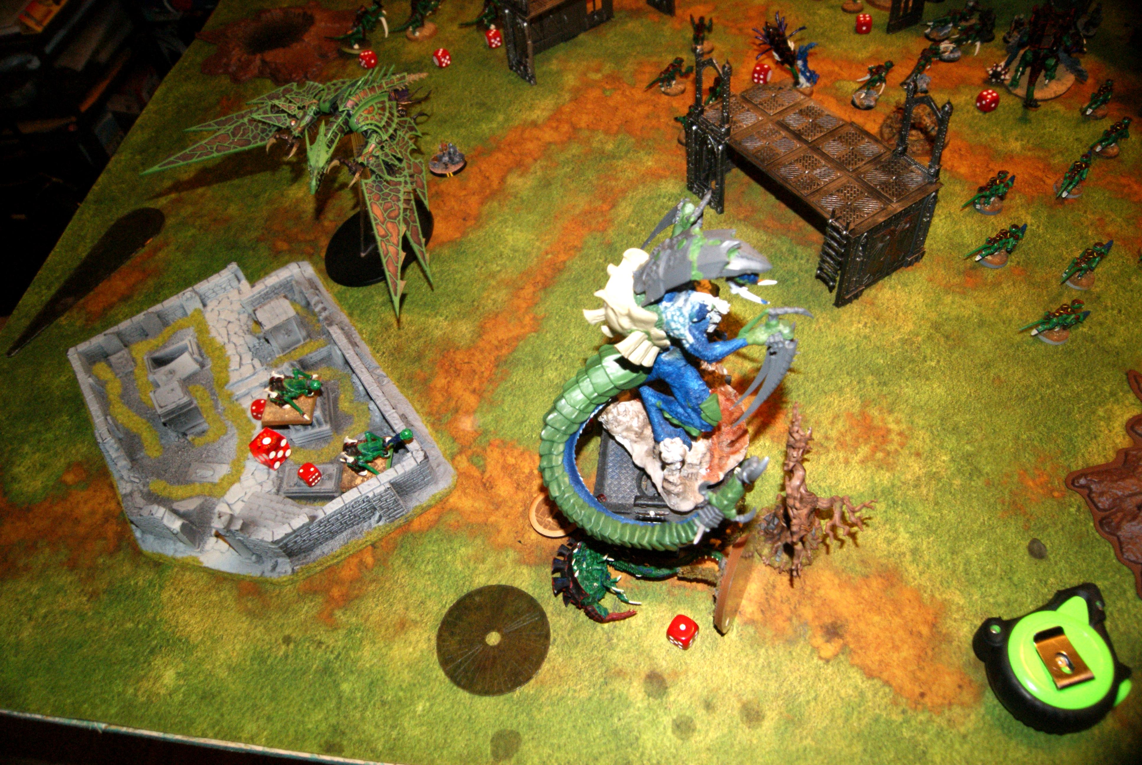 Dimachaeron consolidates onto bunker