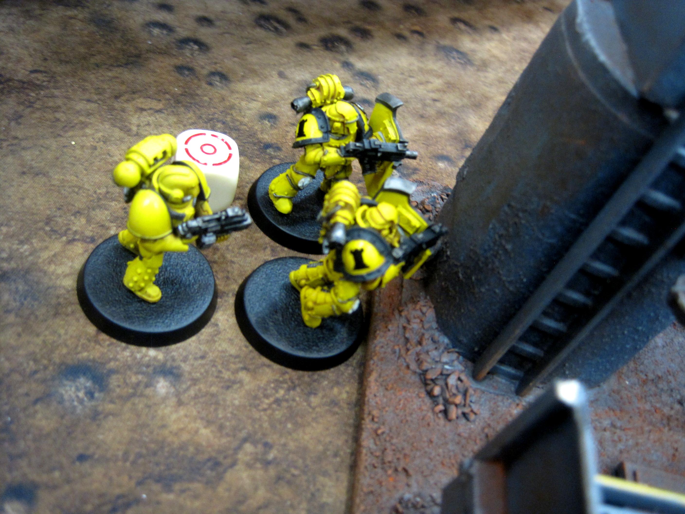 Sizzure's Seekers