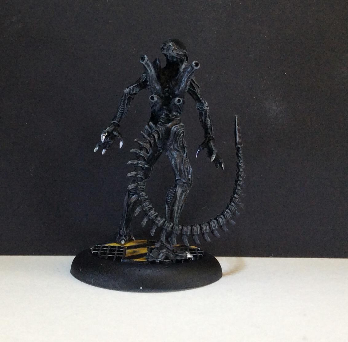 Test Xenomorph 