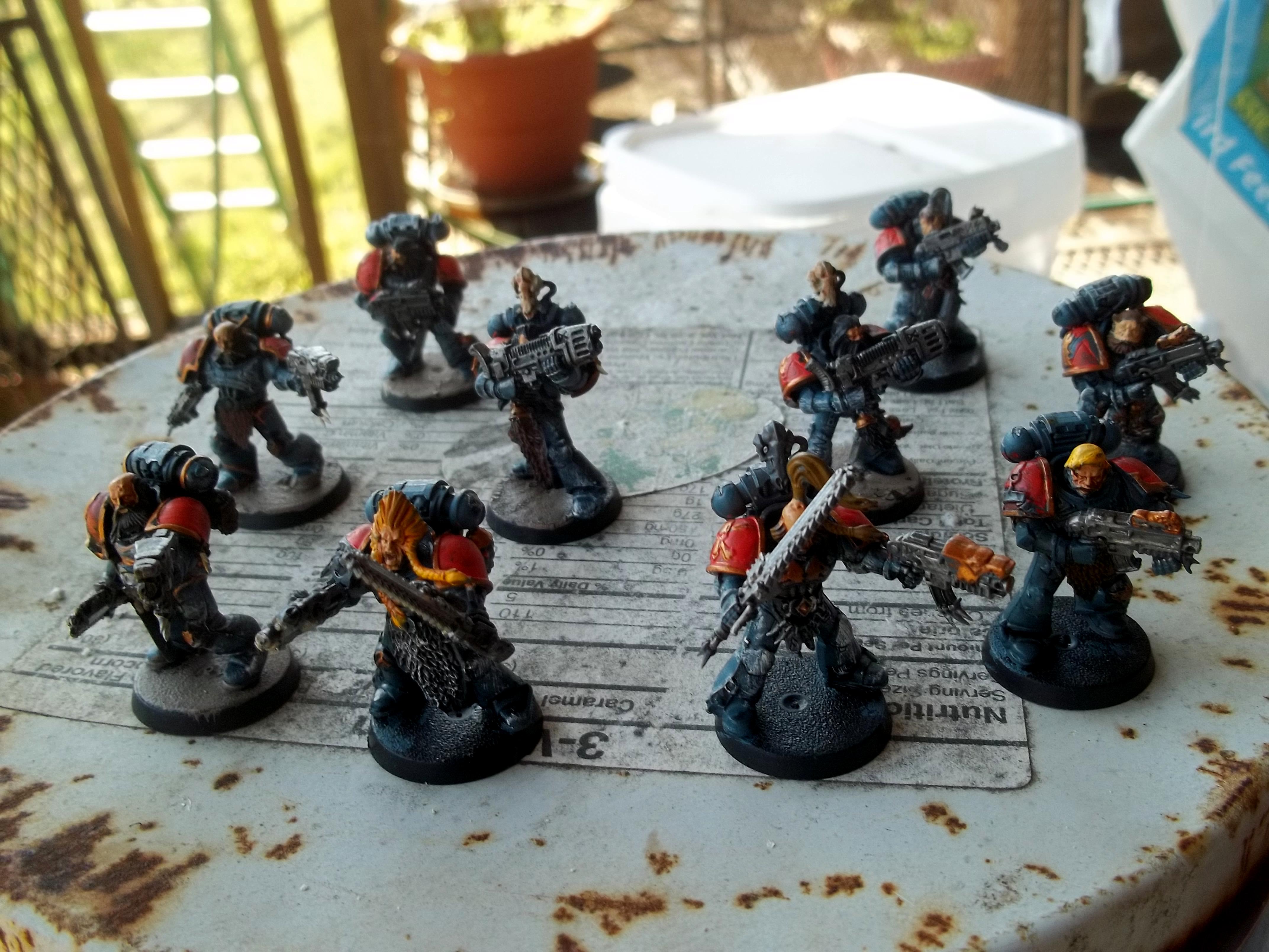 Grey Hunters 1