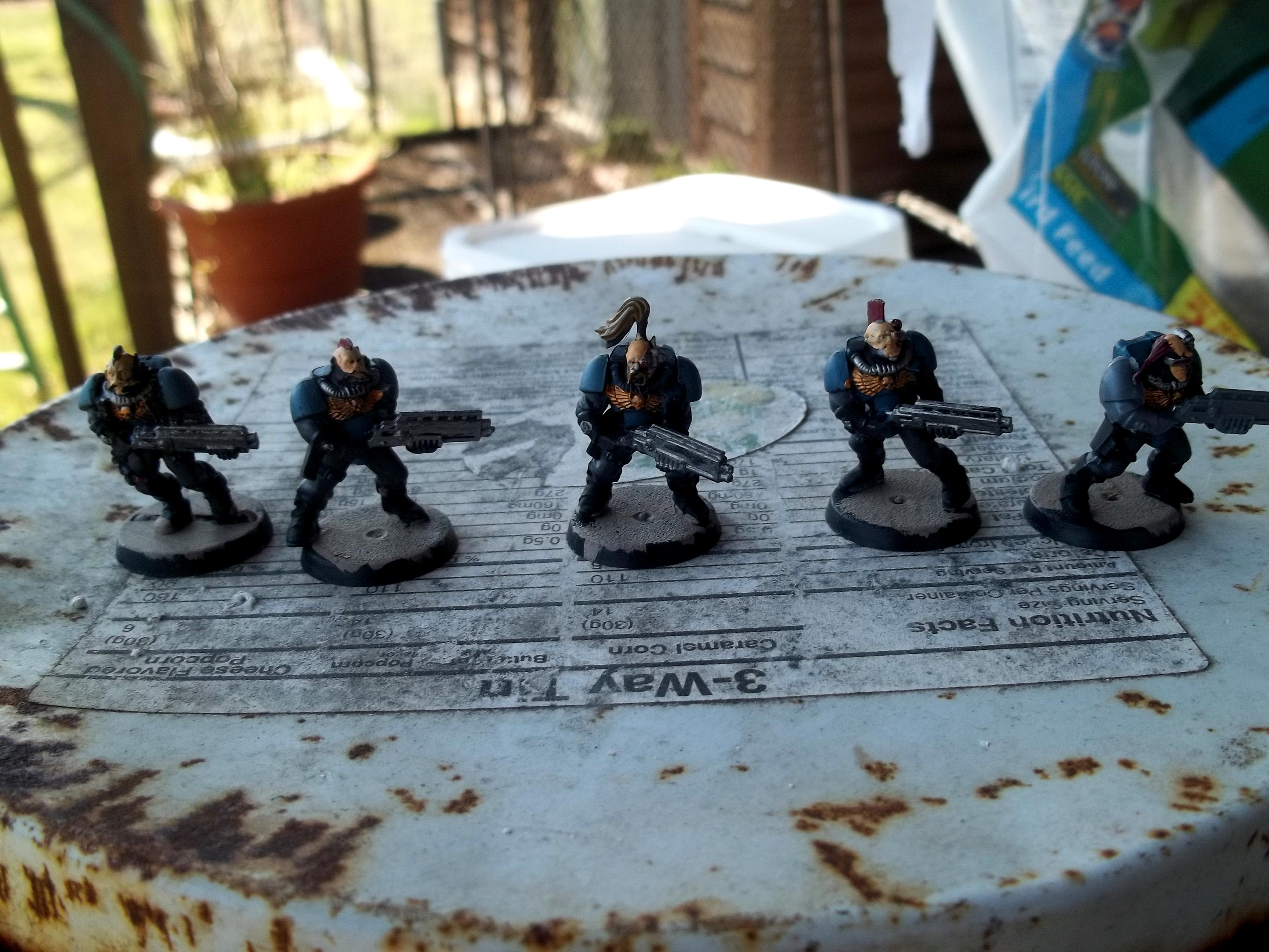 Wolf Scouts