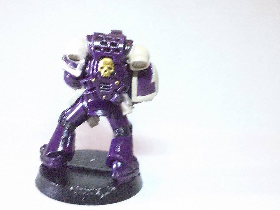 Standard marines