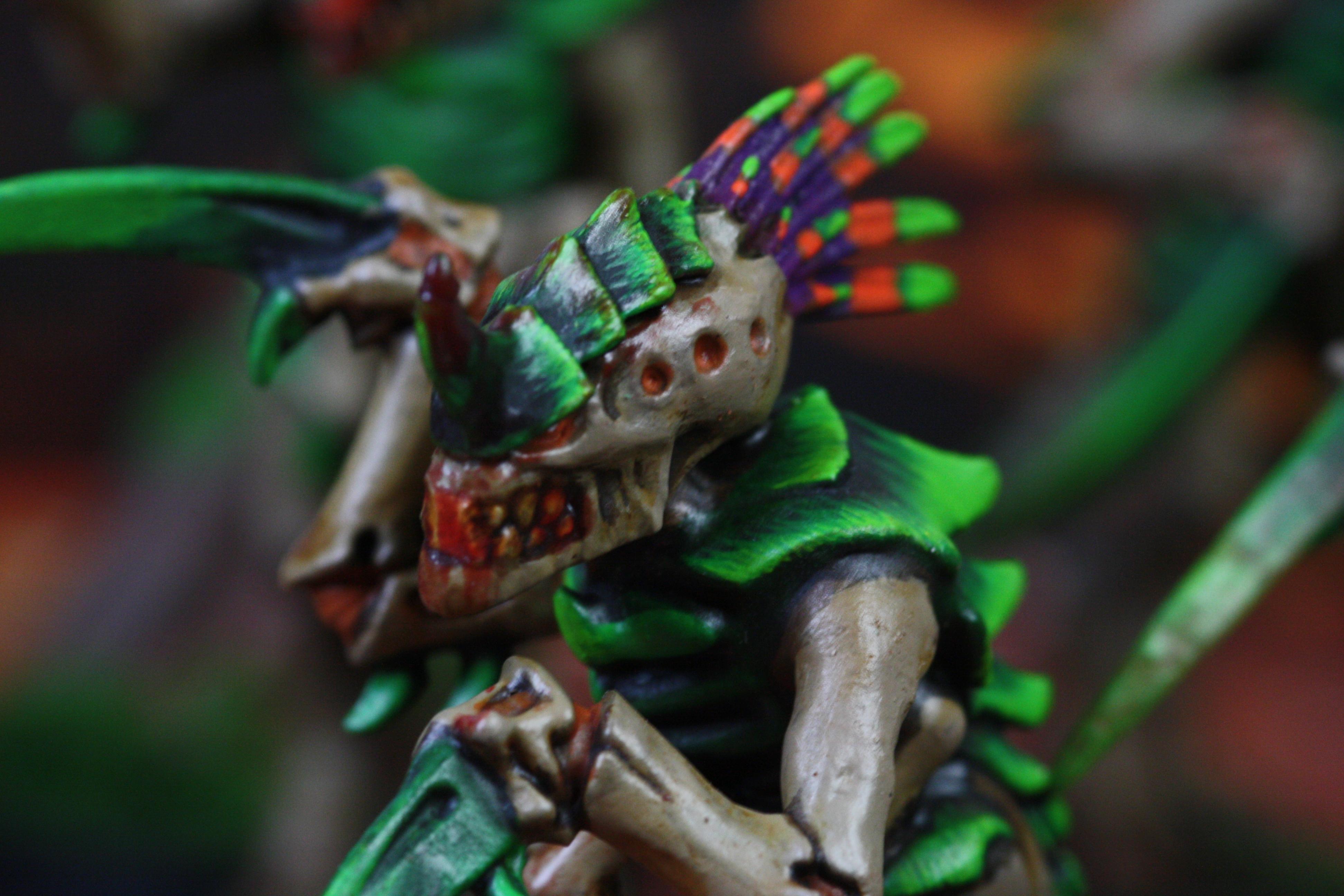 Tyranokroot close up