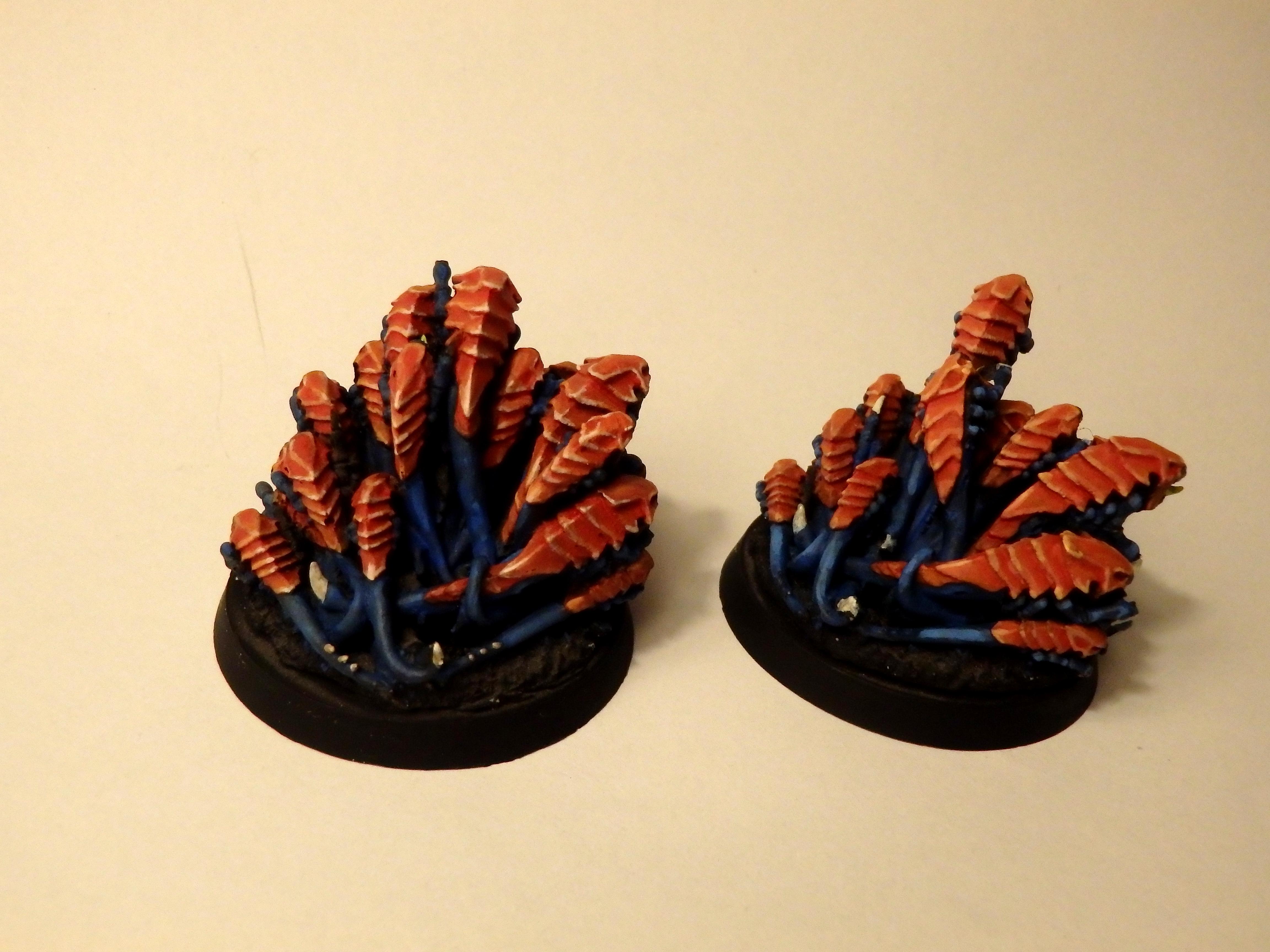 Swarm Back