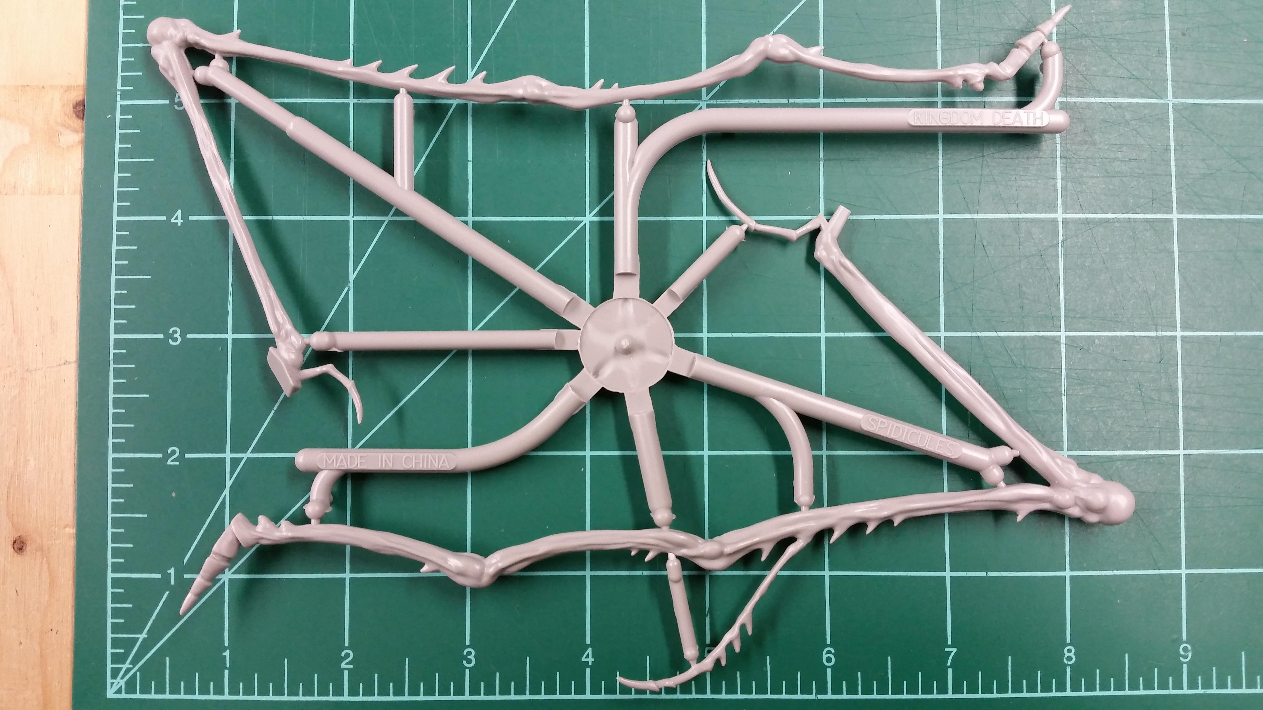 Kdm, Kingdom Death, Spider, Spidicules, Sprue