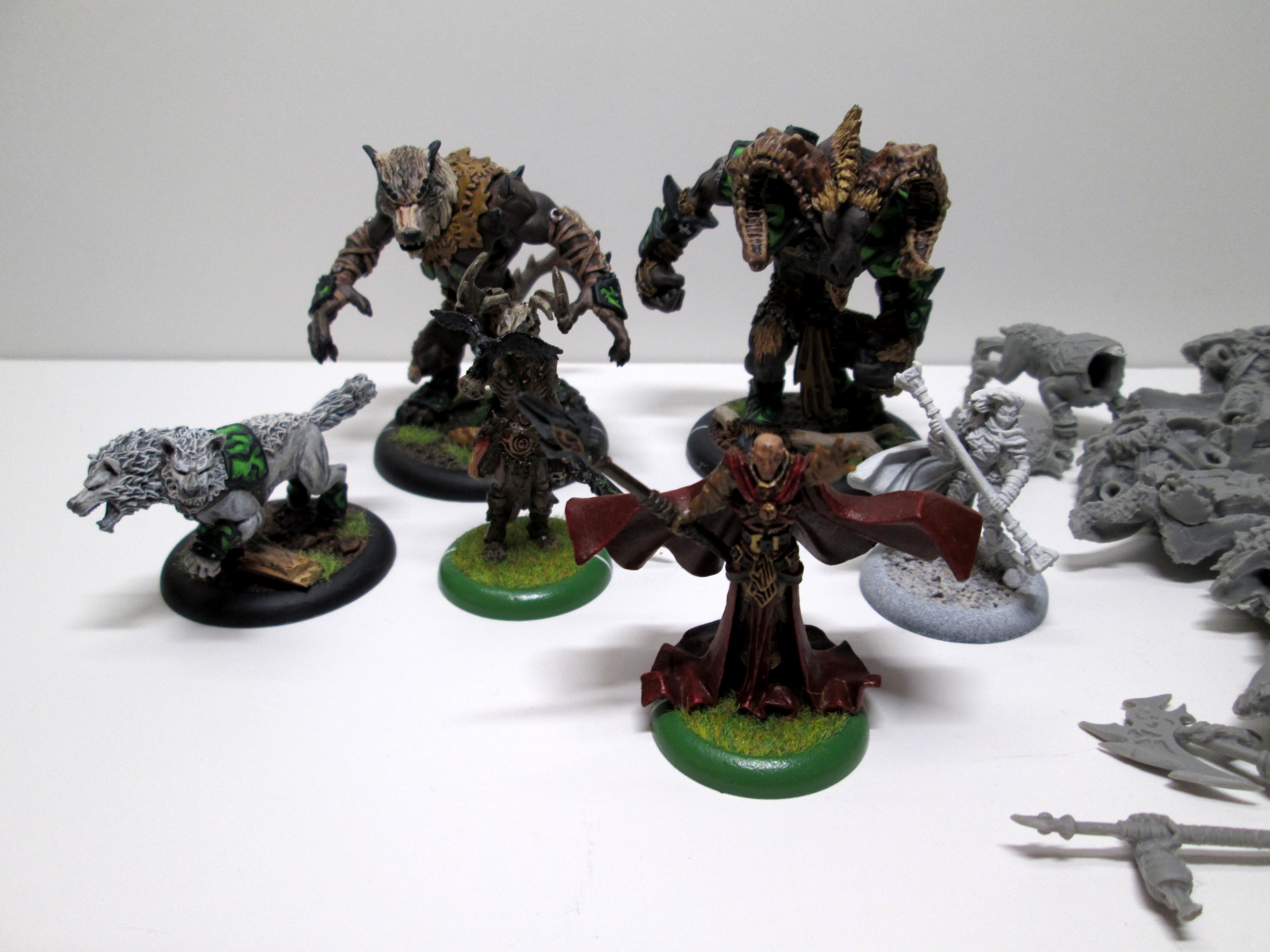 Circle of Orboros