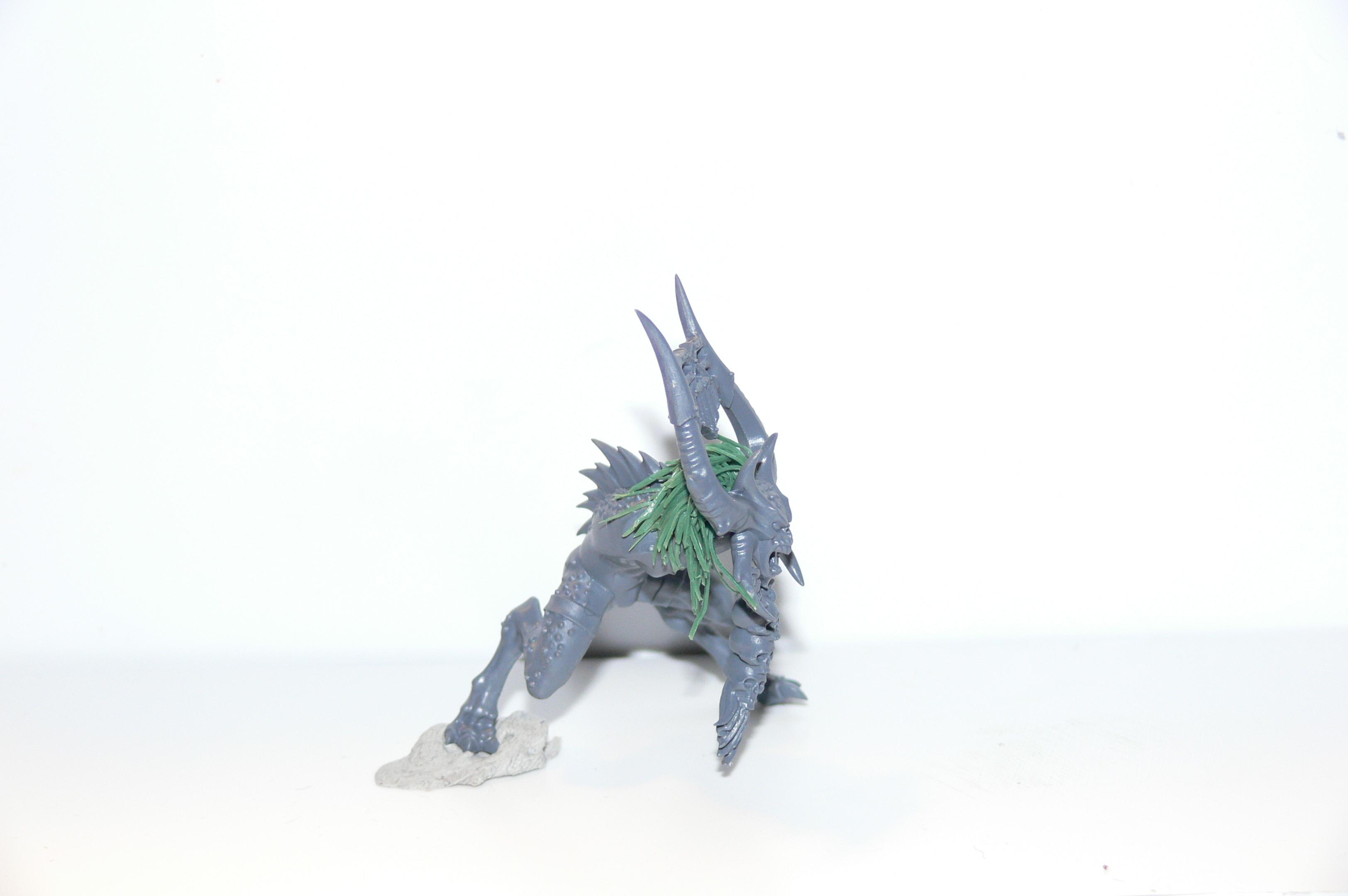 Herald