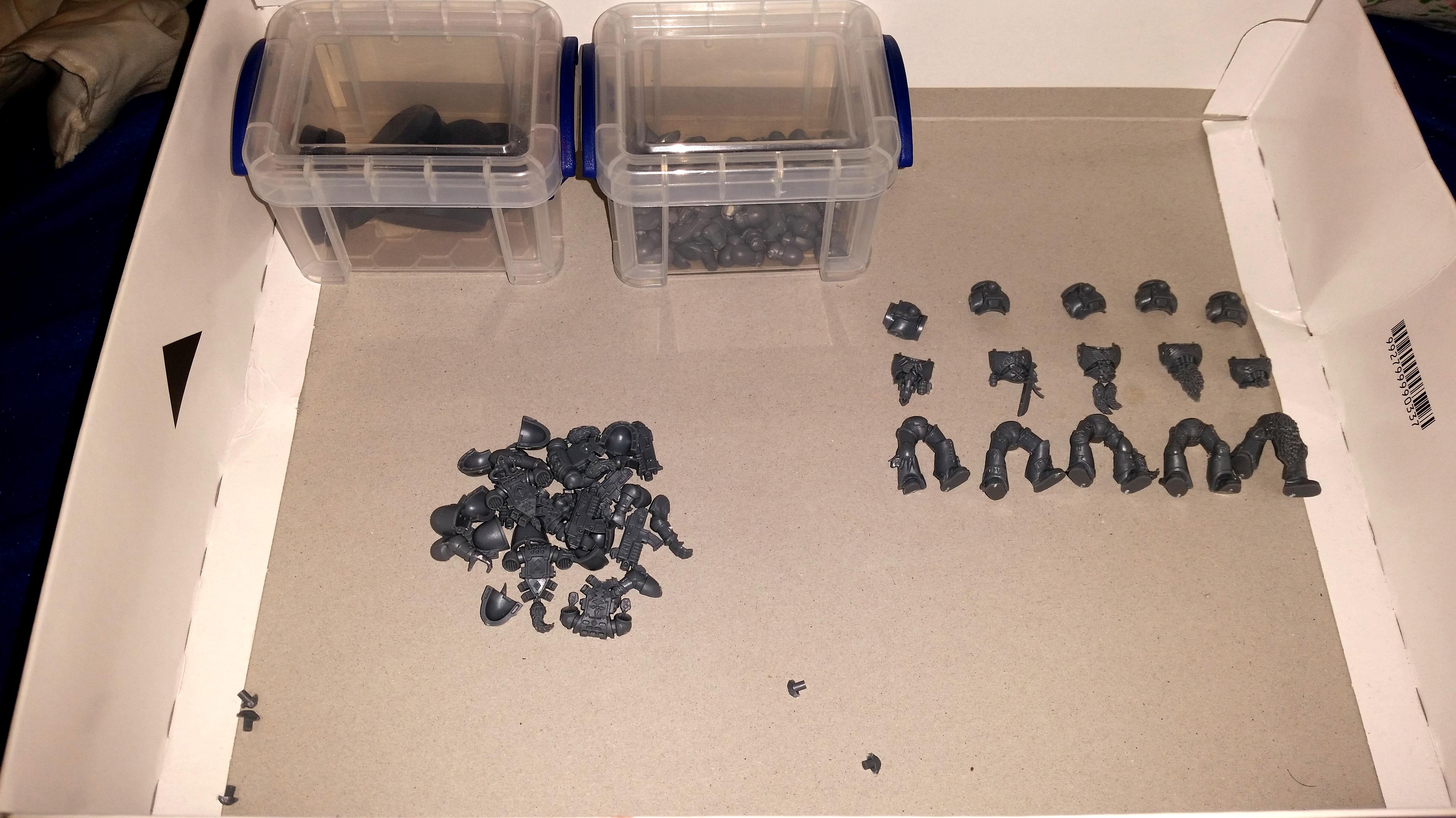 Space Wolves Proof Pic