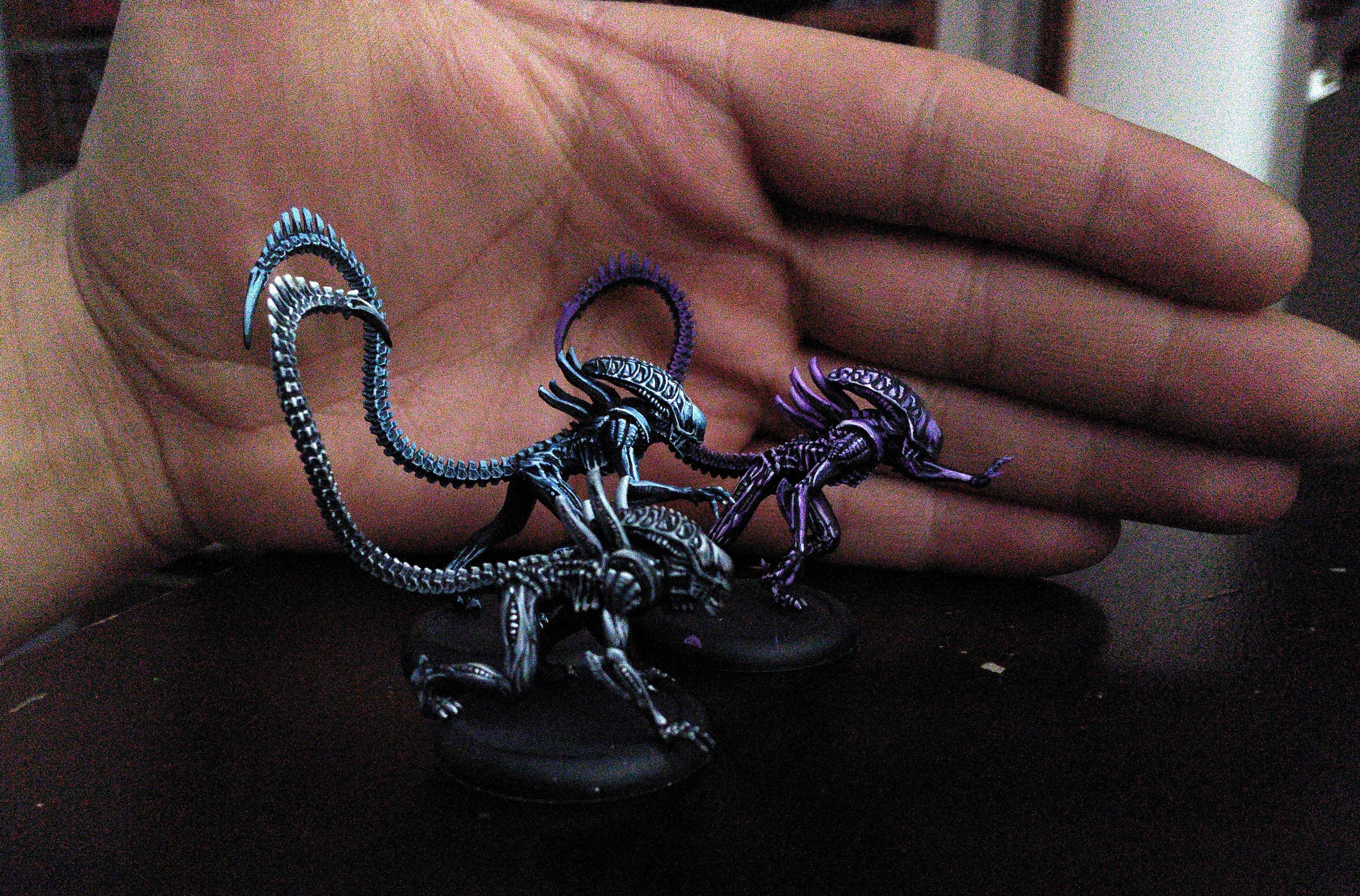 Aliens, Avp, Alien warriors