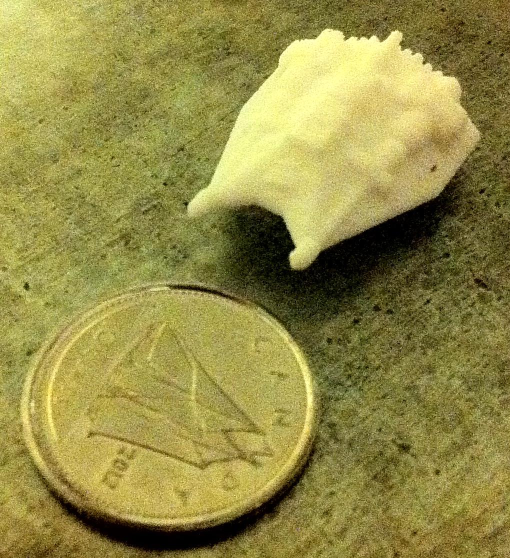 6mm, Hoth, Shapeways, Star Wars