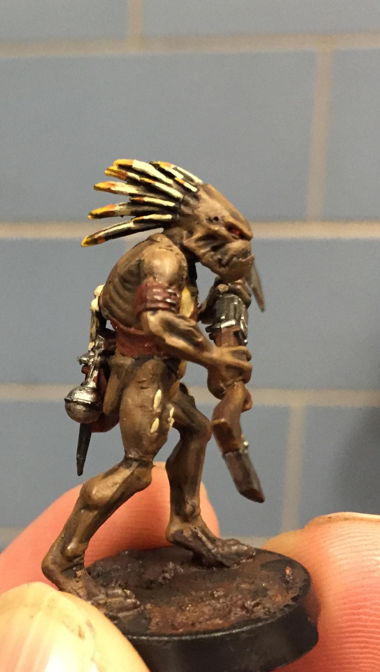 Tau kroot