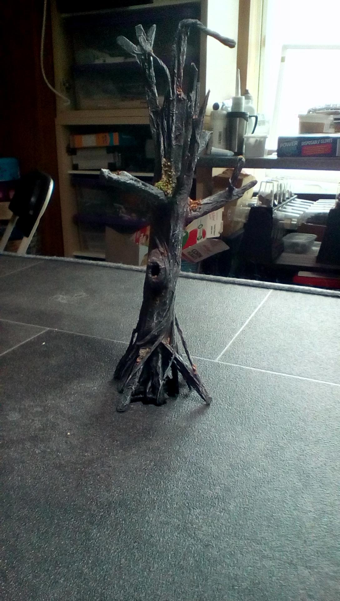 First project