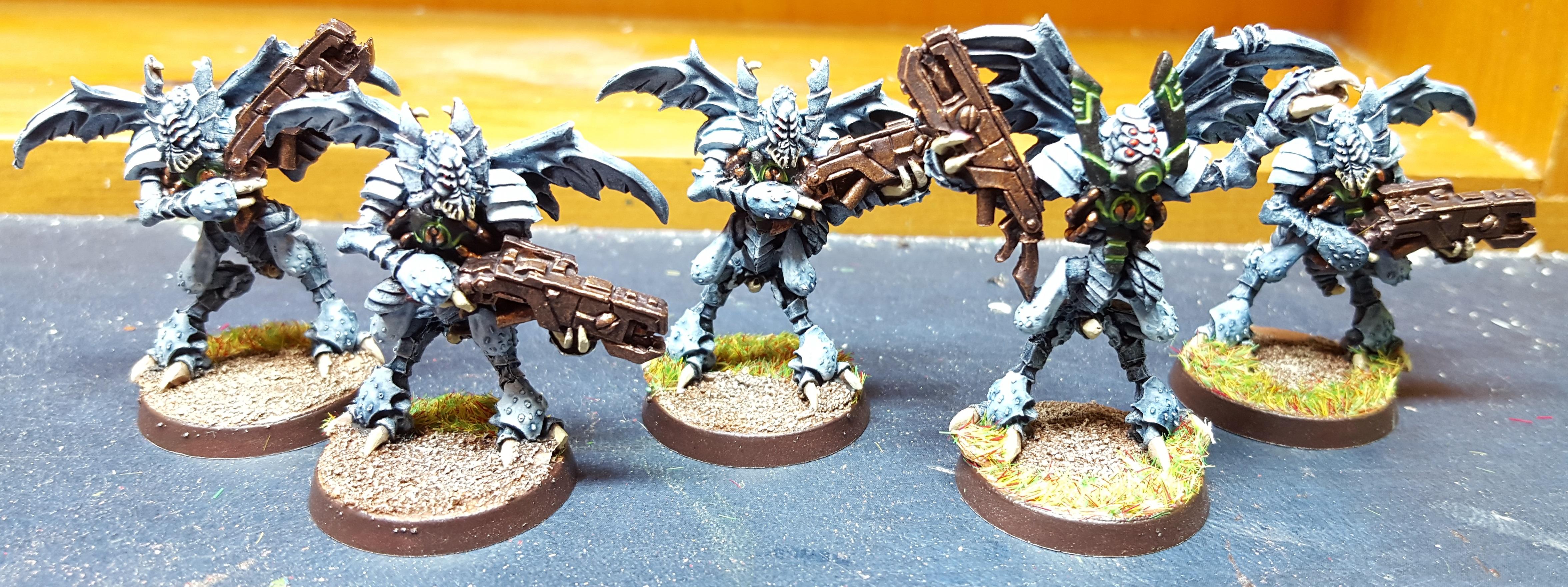 Vespids Done
