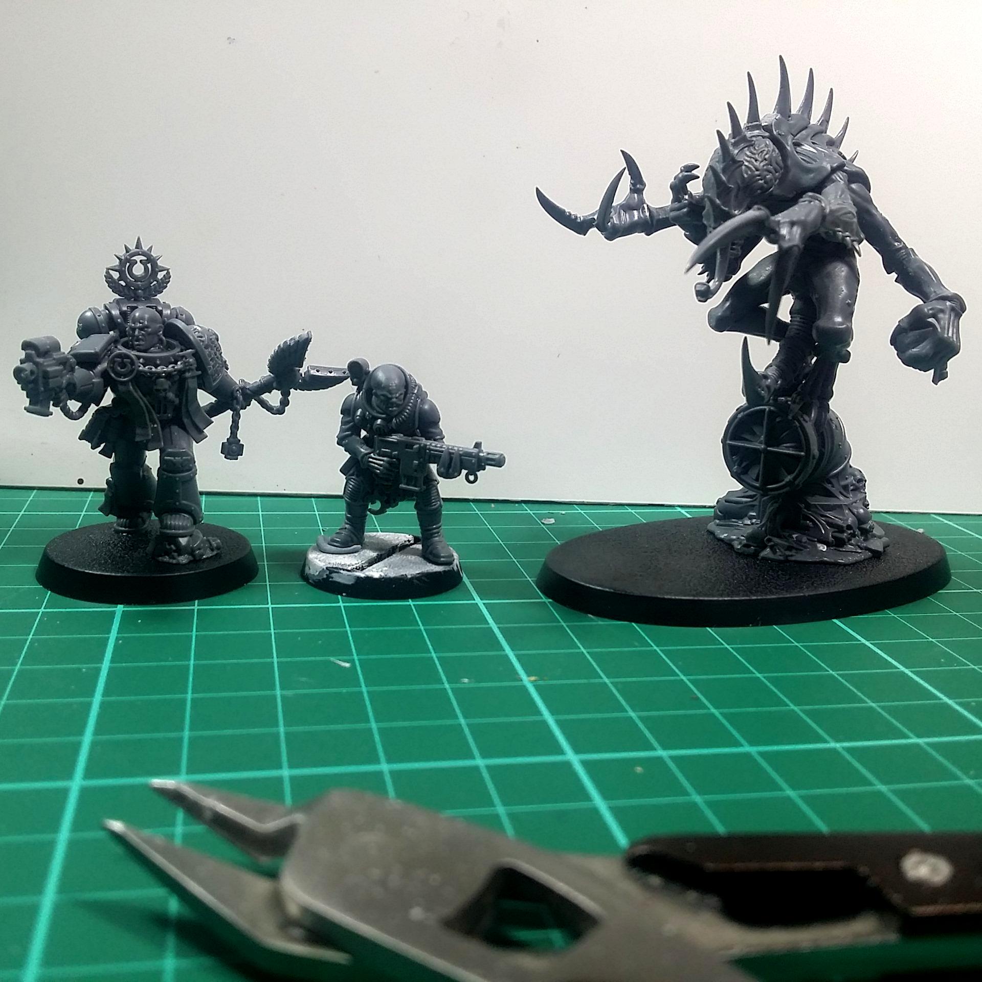 Scale shot