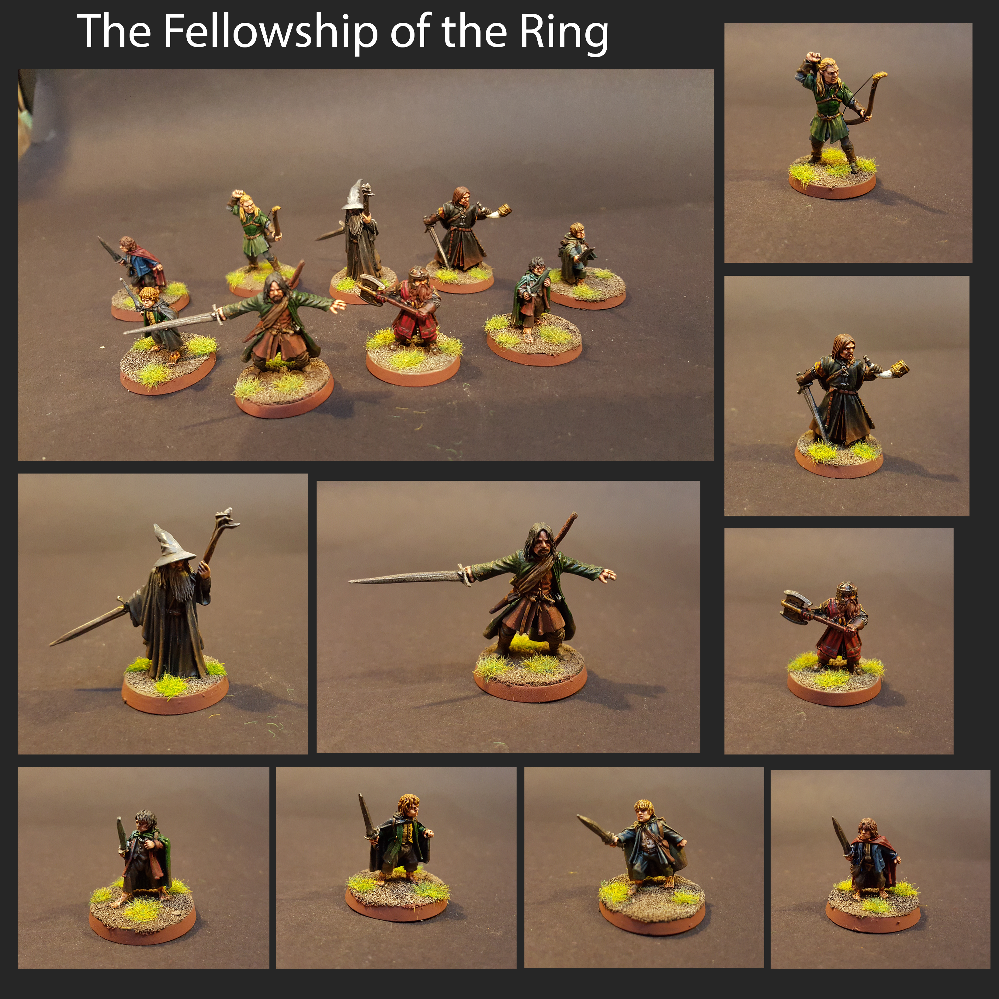 Fellowship, Lord Of The Rings, Ring