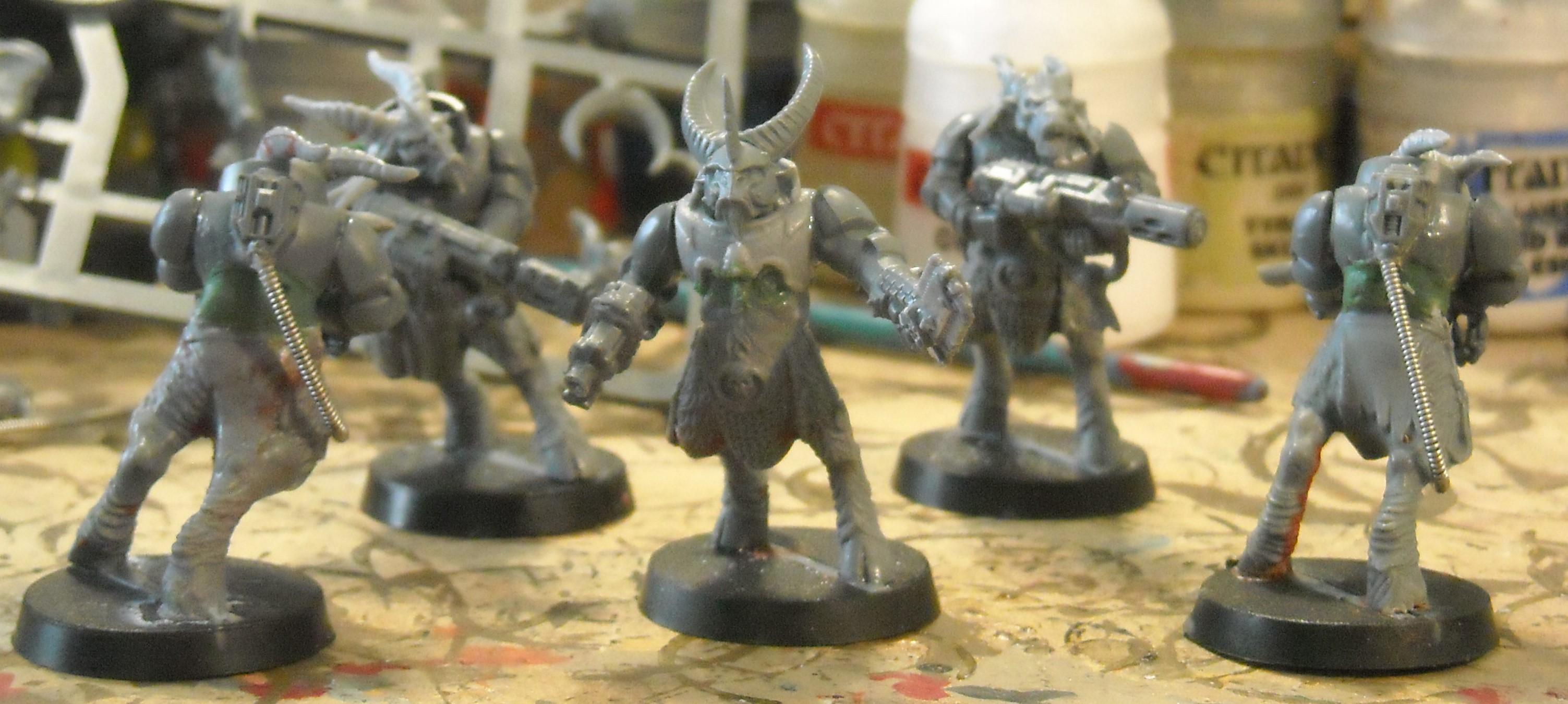 1st 5 Grenadiers Backs