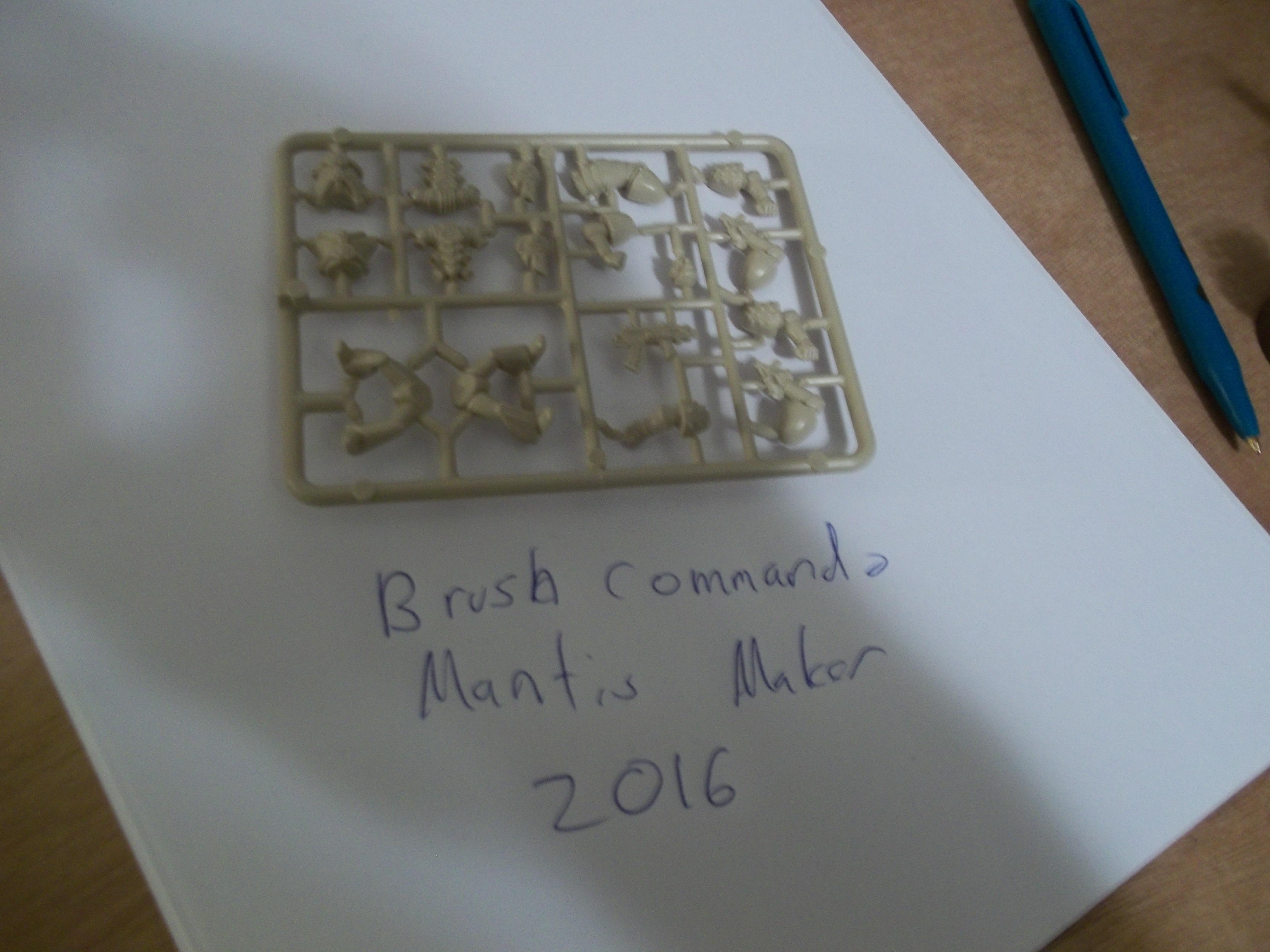 Mantis Maker Comp Entry