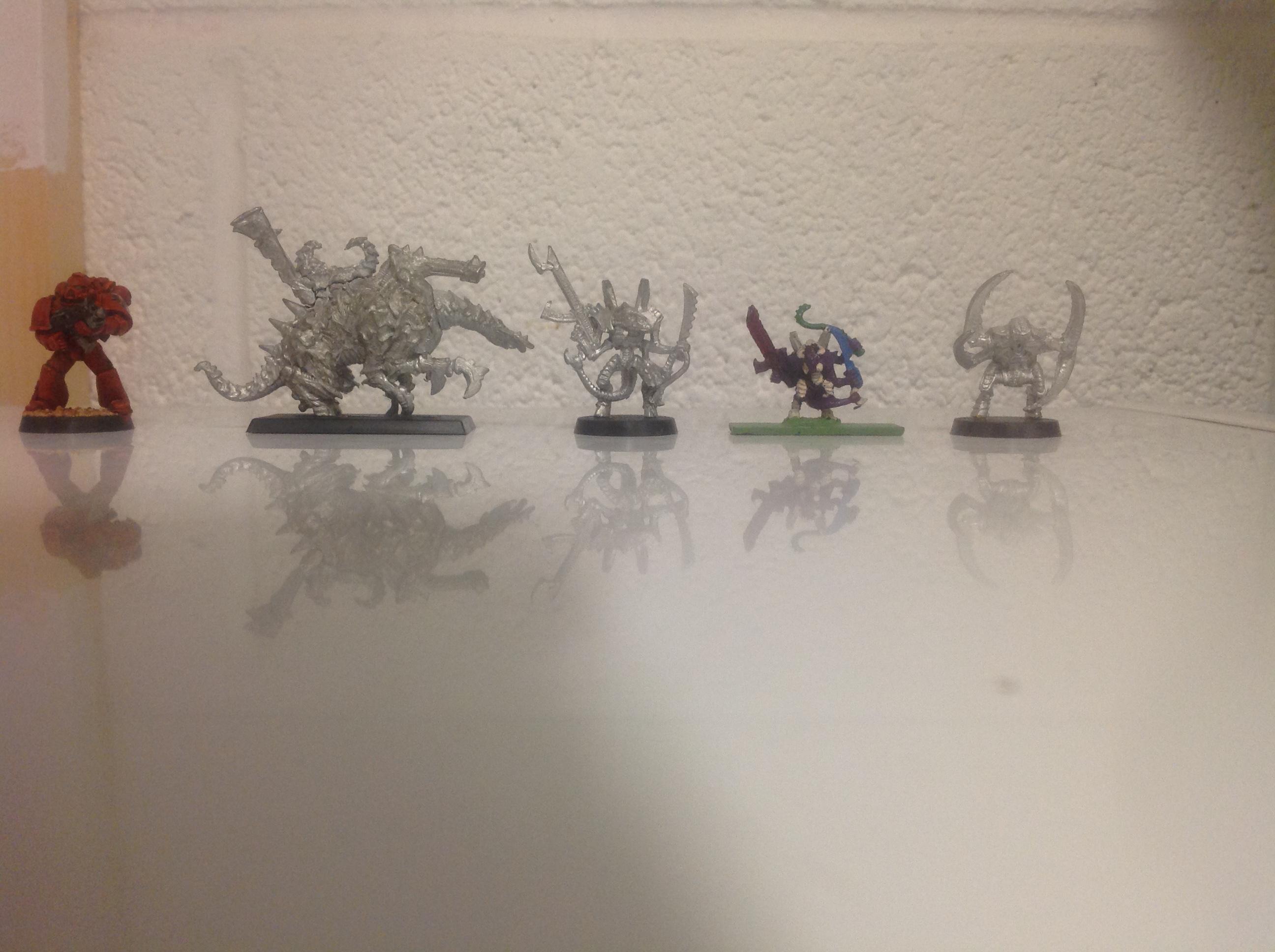 ScaleComp2