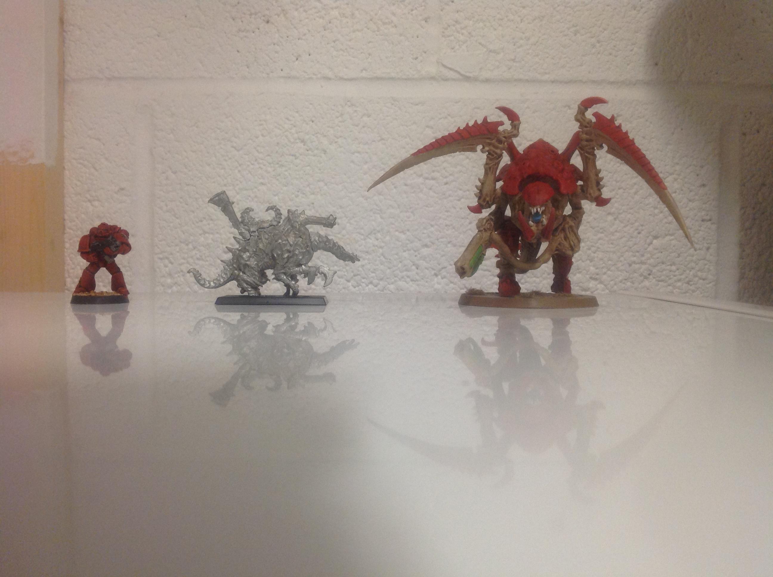 ScaleComp3