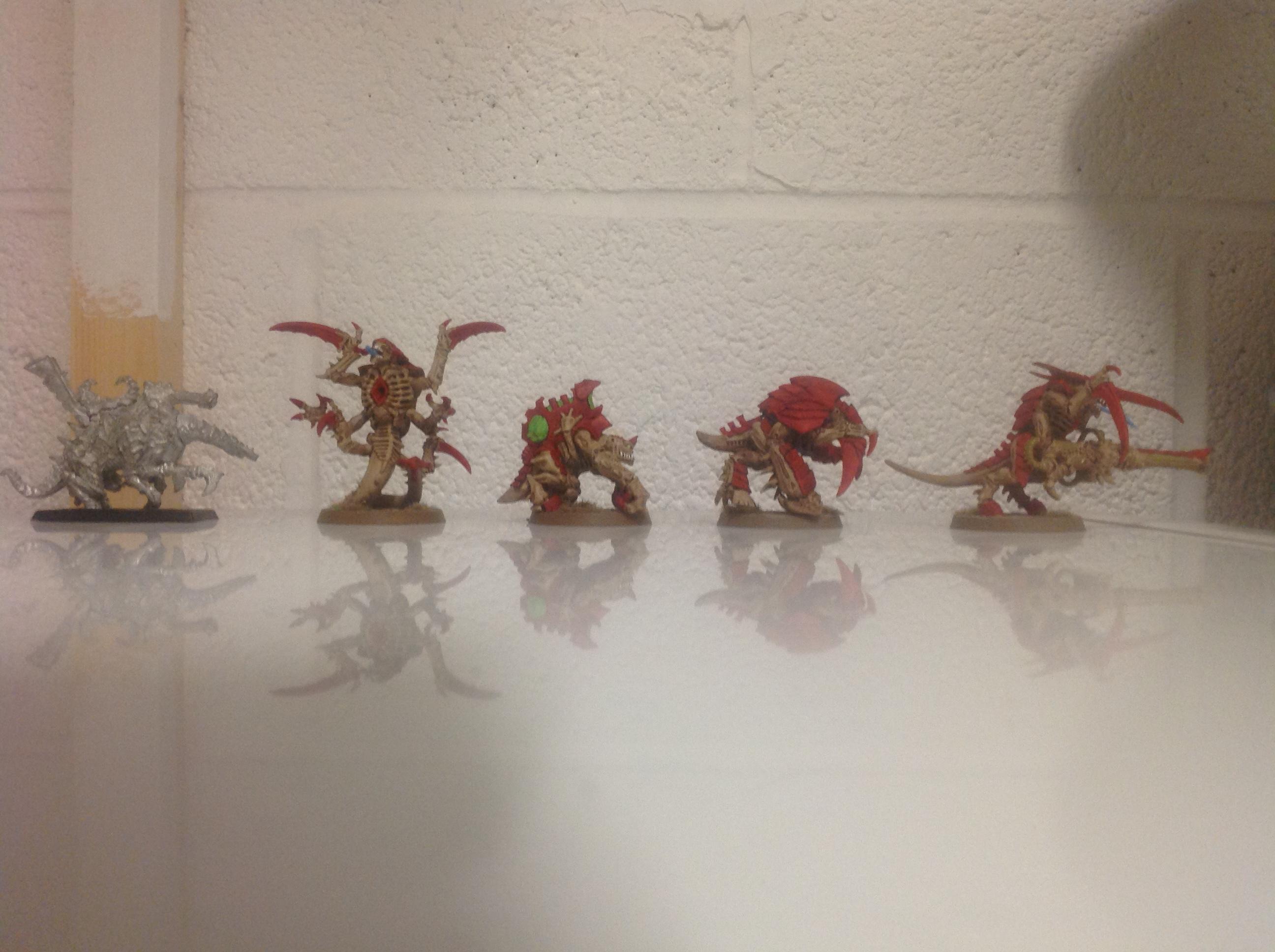 ScaleComp5