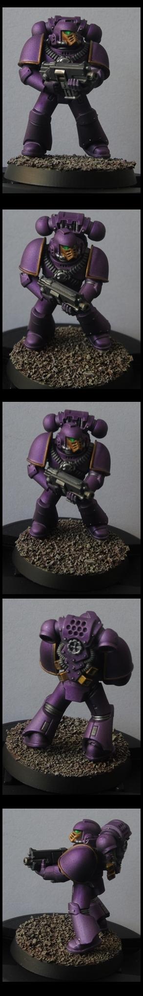 Emperor's Children