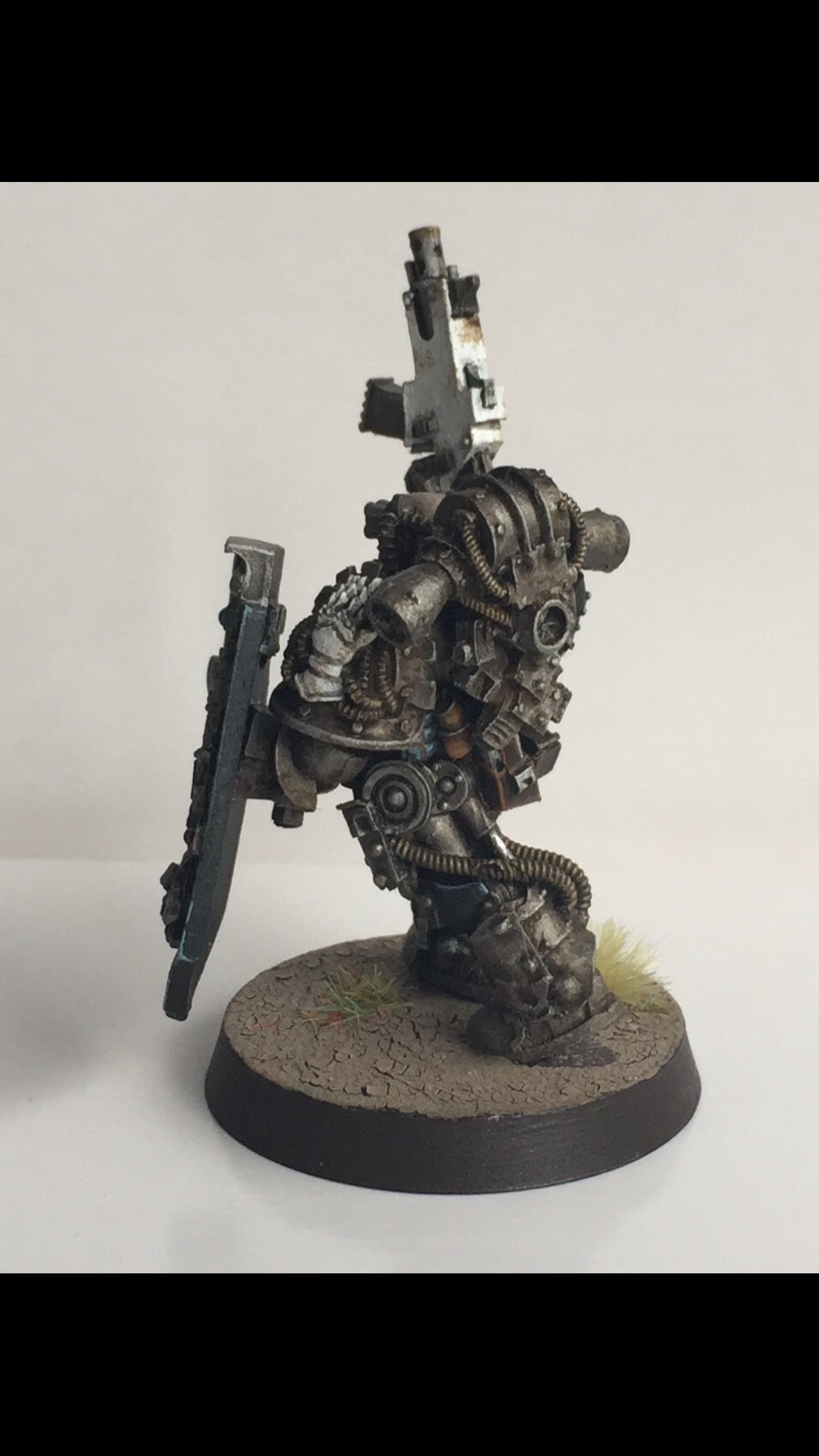 Medusan Immortal Sgt