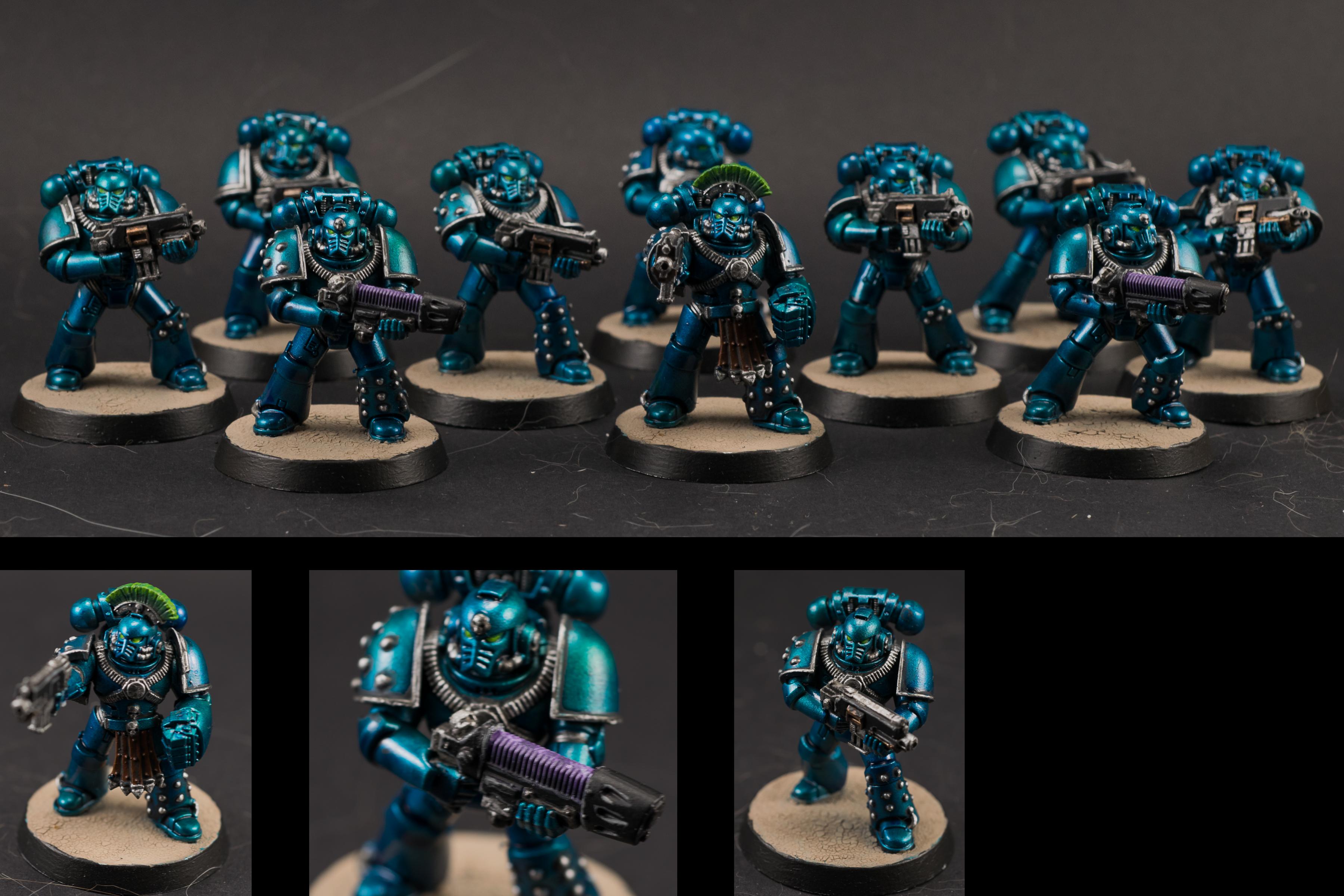 Alpha Legion, Tactical Squad, Veteran