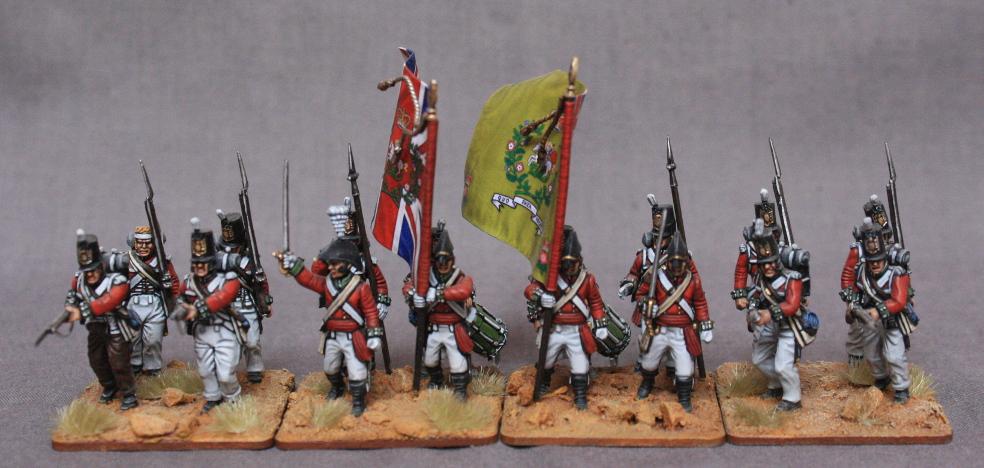5th Northumblerand Foot - Colours and Demi Battalion