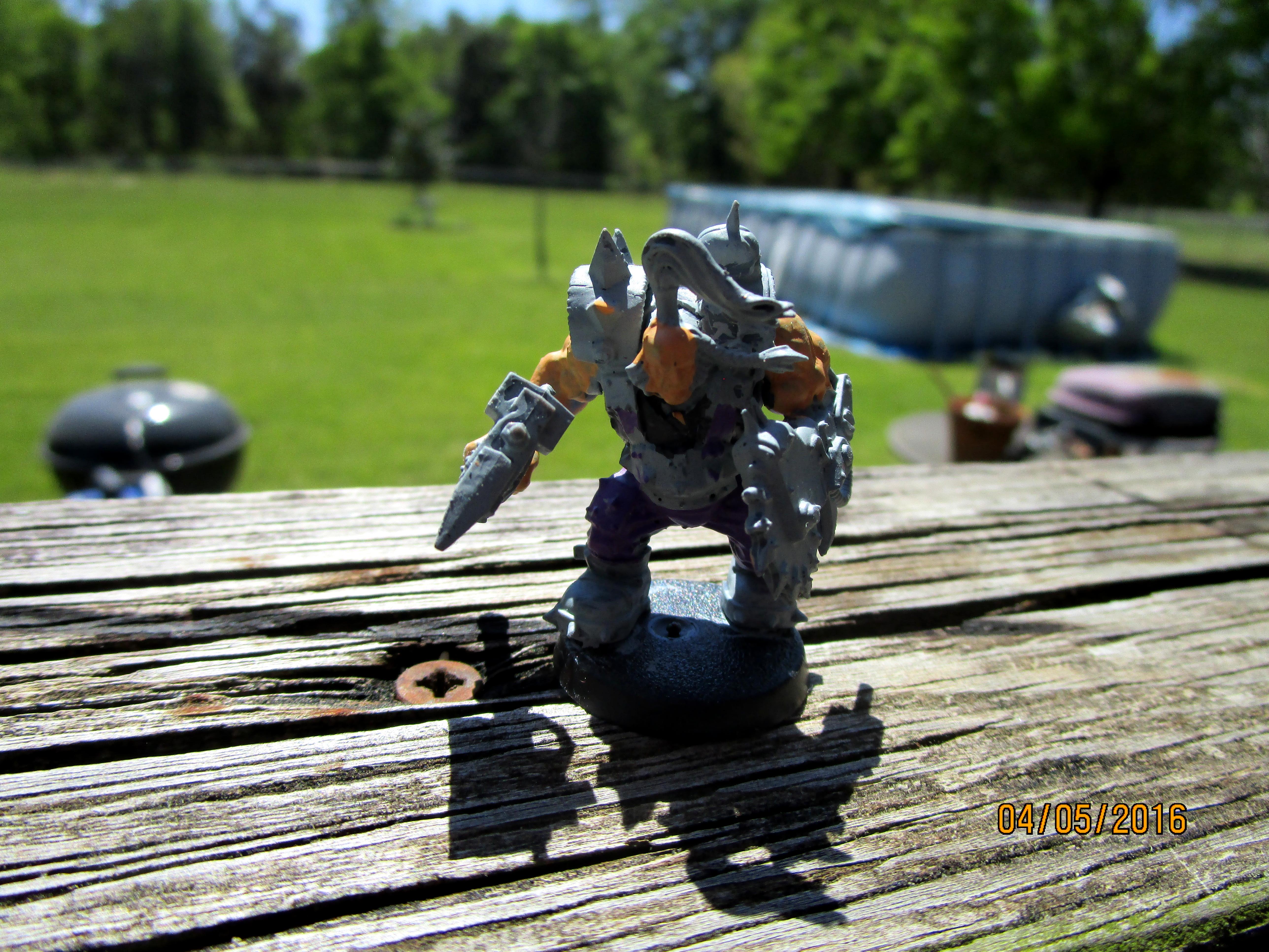 Pit Brute