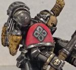 Grey Hunter, Space Marines, Space Wolves