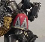 Grey Hunter, Space Marines, Space Wolves