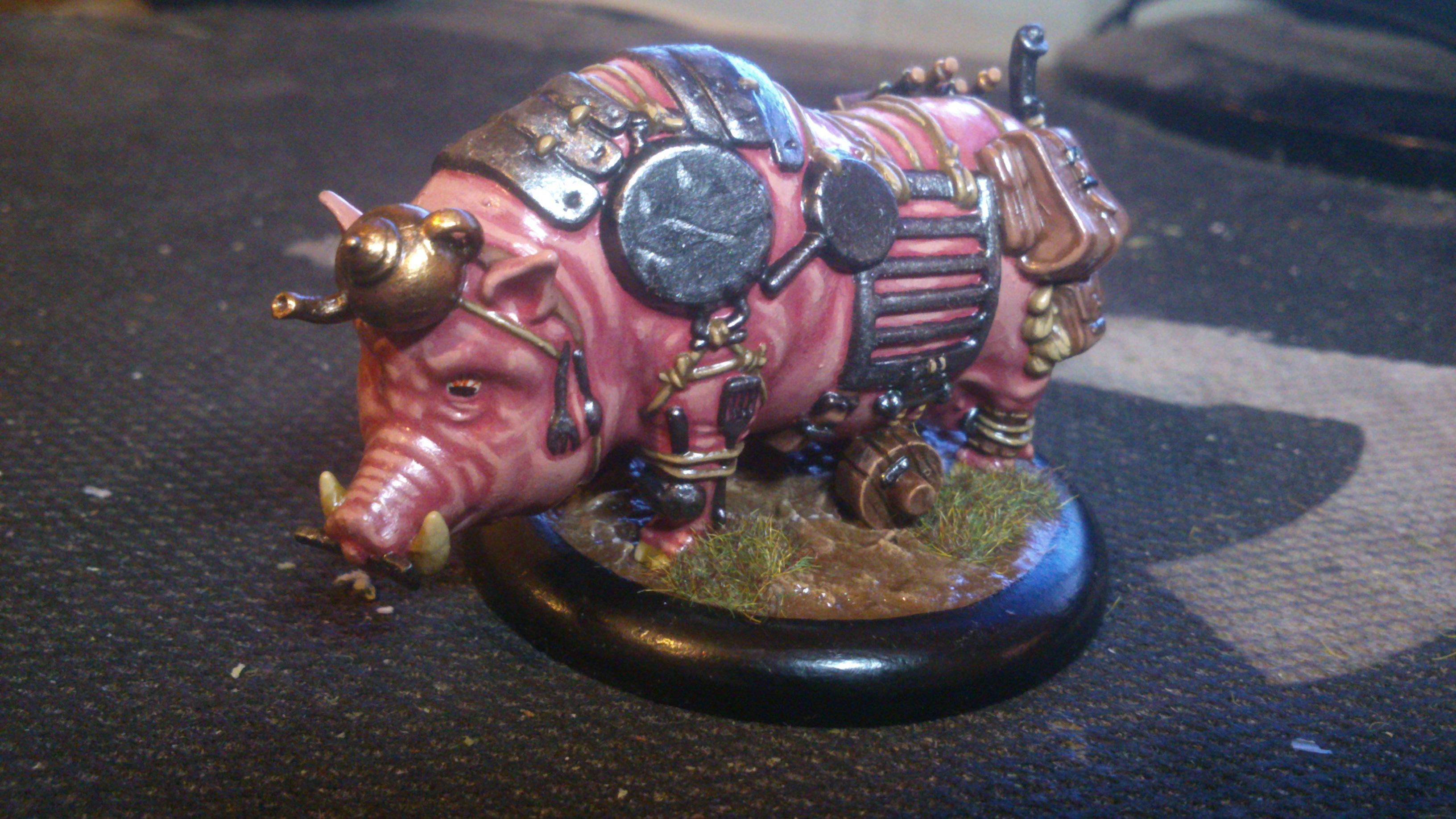 Pig