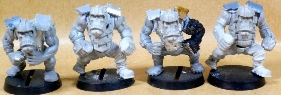 Blood Bowl, Orcs