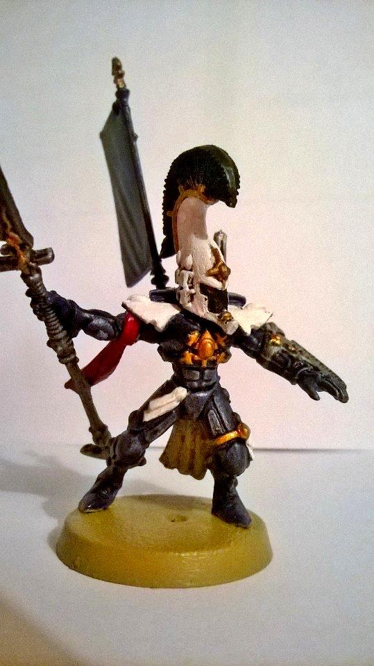 Dire Avengers, Eldar, Exarch