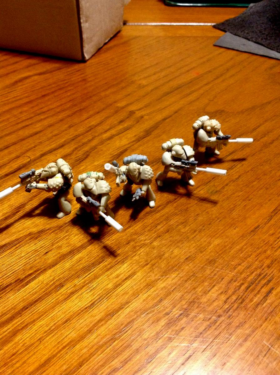 Howling Griffon, Veteran, Veterant