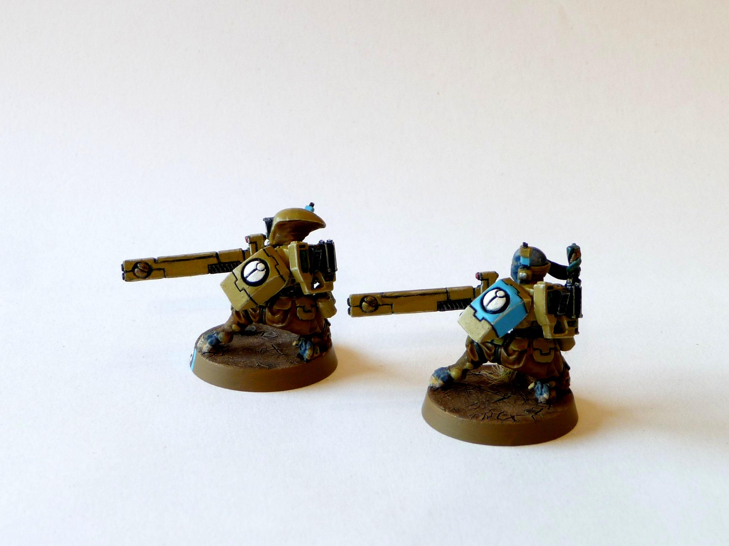 D%27yanoi, D'yanoi, Fire Warriors, Tau