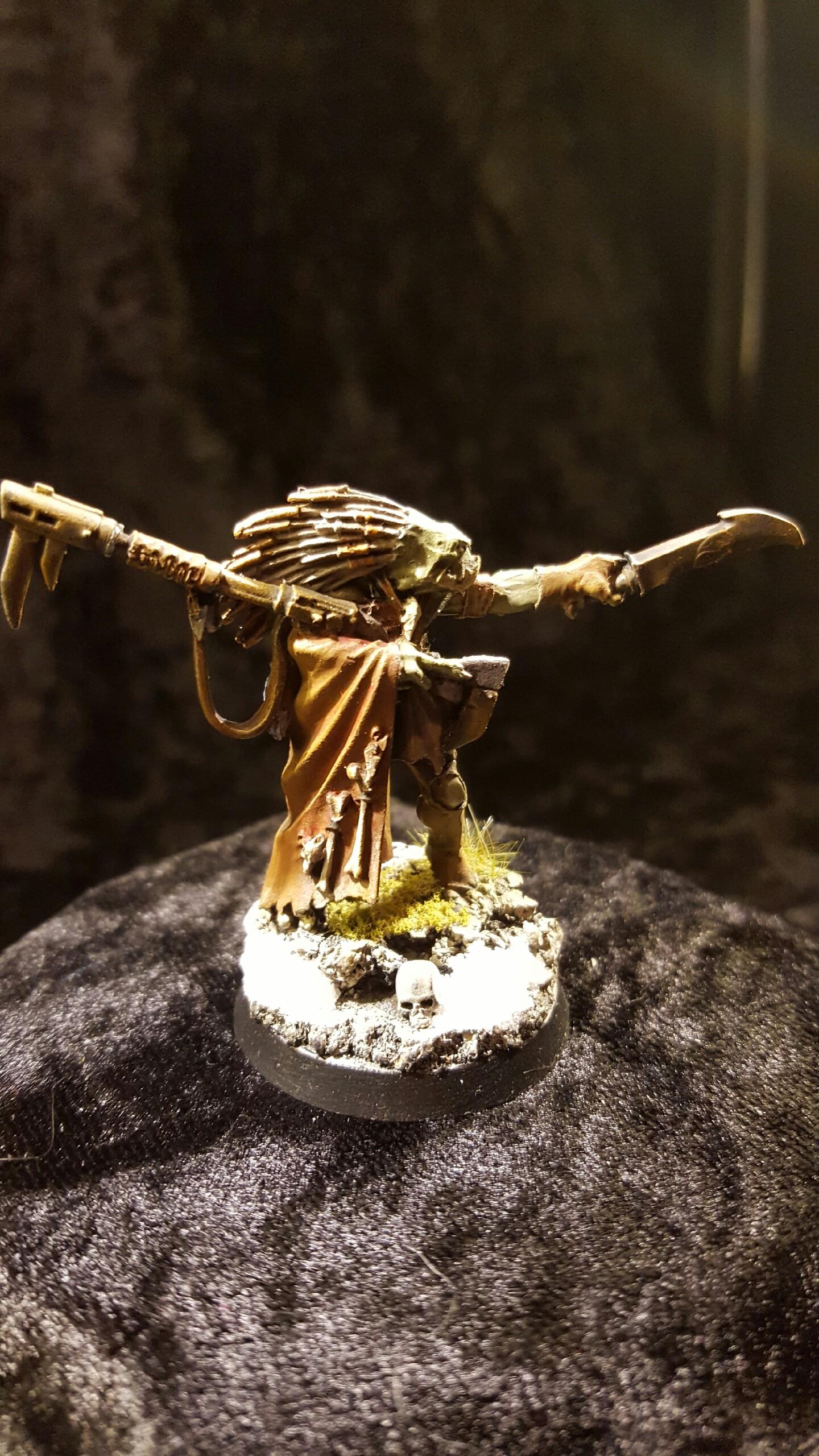 Angkhor, Headquarters, Kroot, Mercenary, Prok, Tau