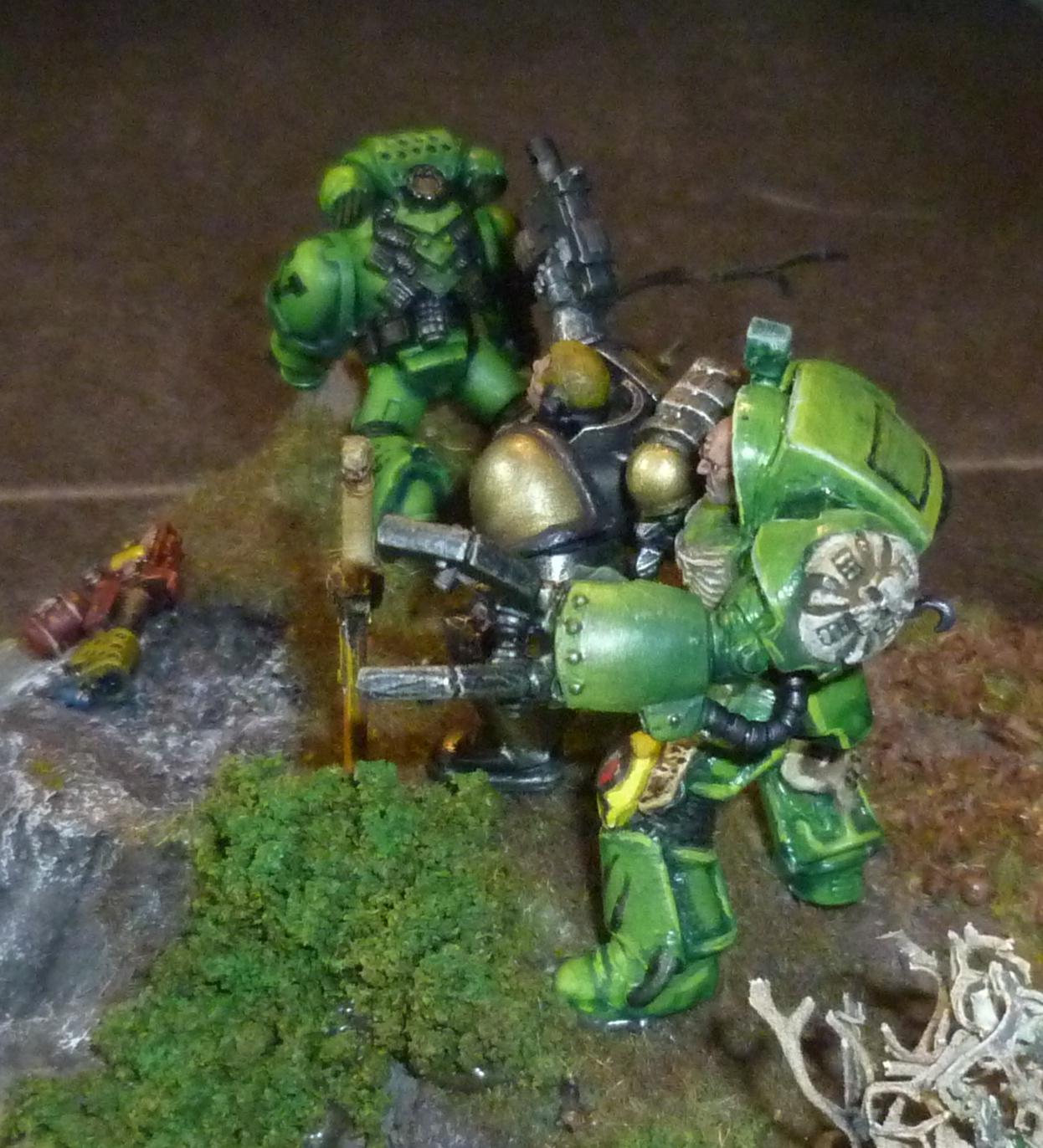 Mantis Warrior, Age before Beauty!
